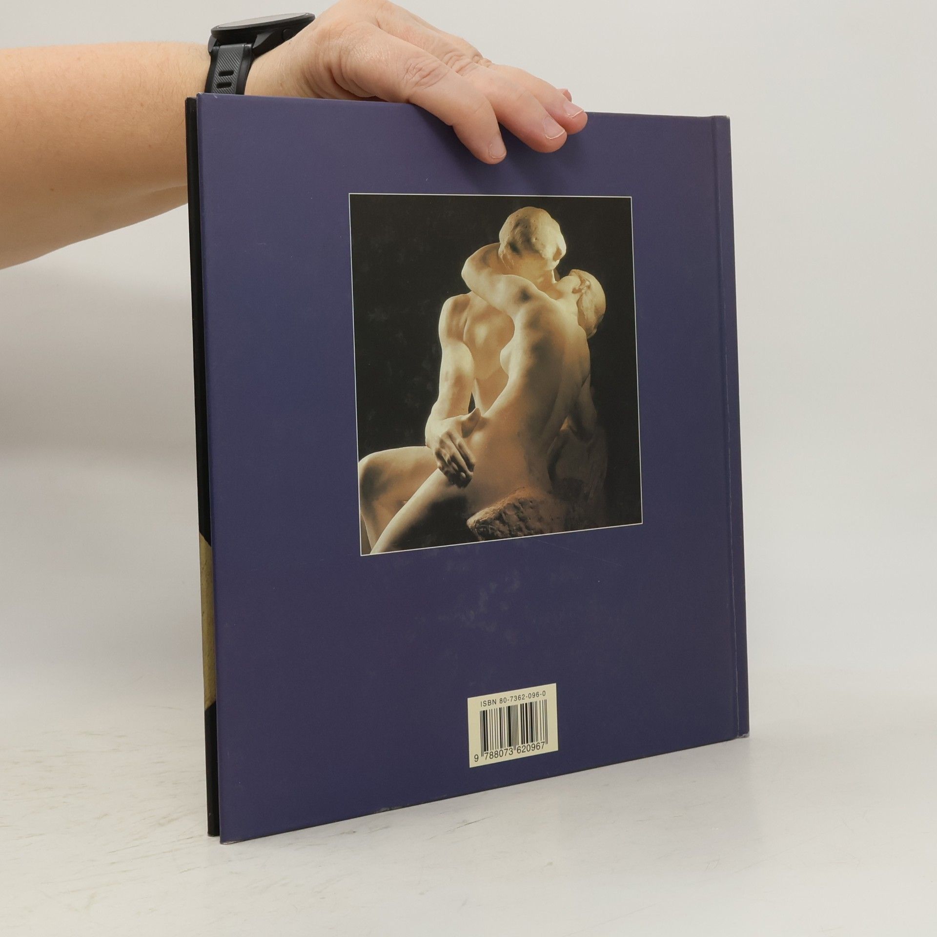 Various authors Rodin