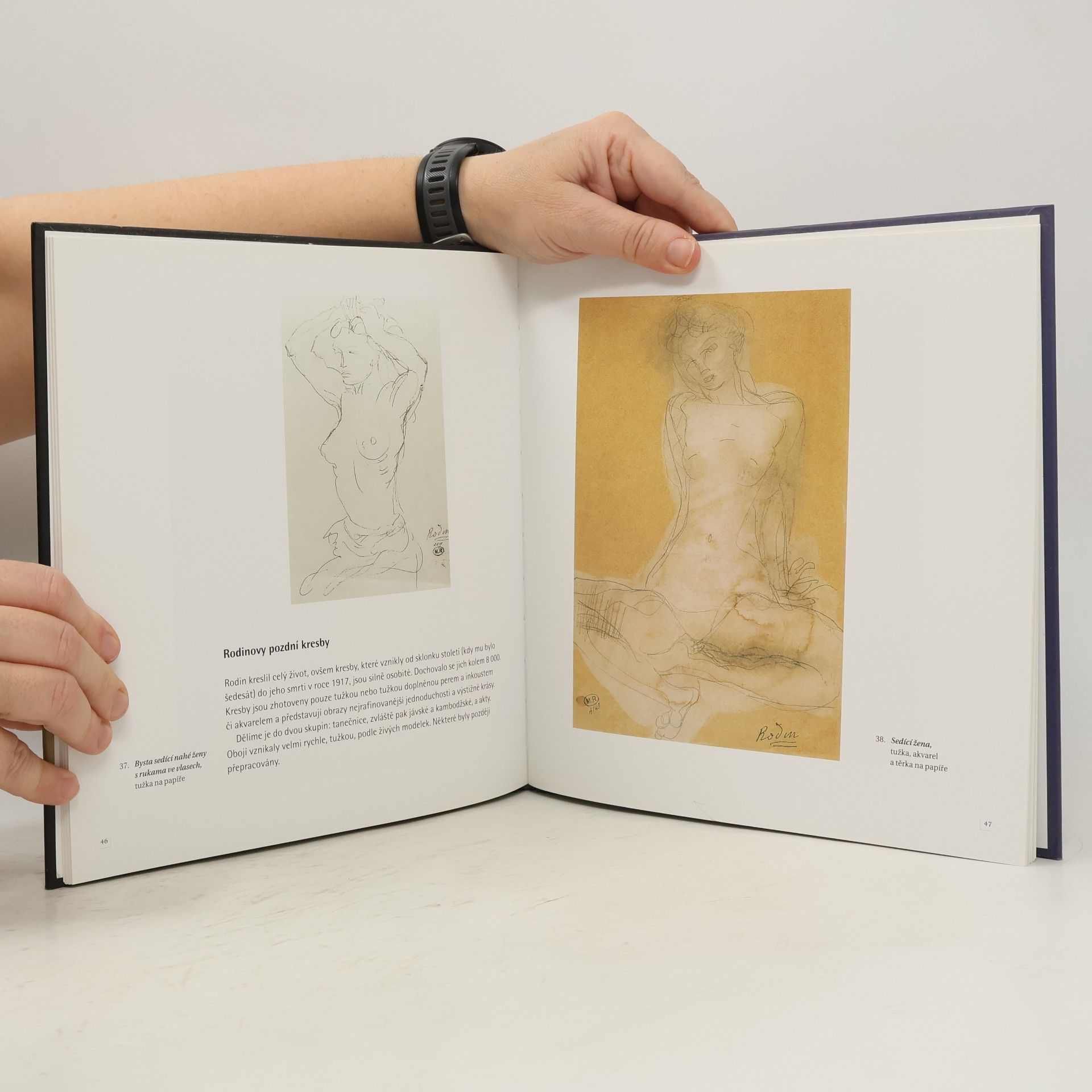 Various authors Rodin
