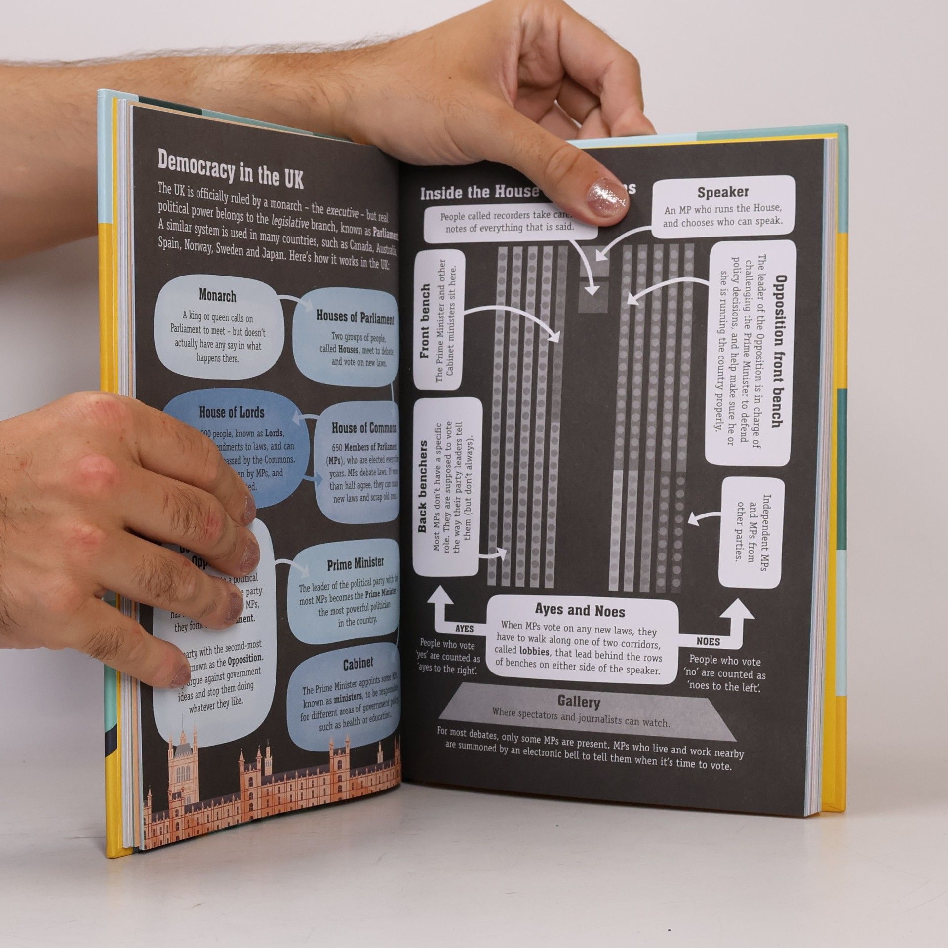 Alex Frith Politics for Beginners