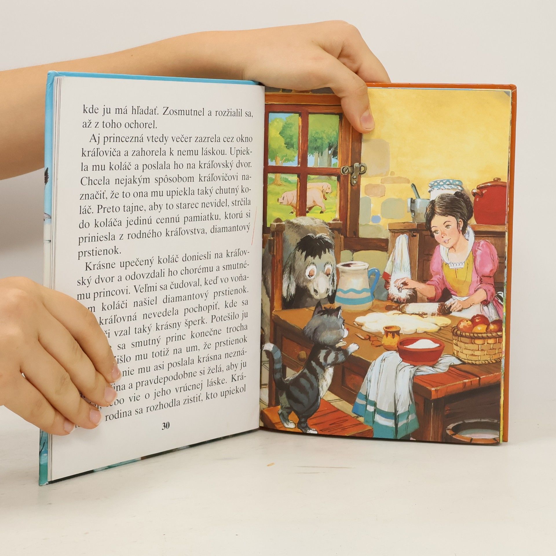 Autorenkollektiv O rybárovi a zlatej rybke