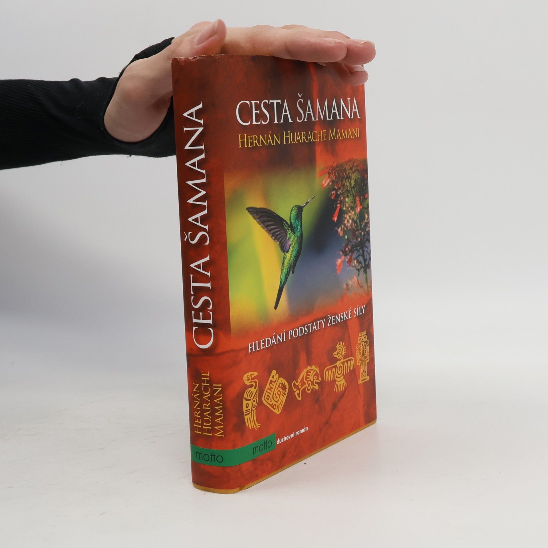 Hernán Huarache Mamani Cesta šamana : hledání podstaty ženské síly