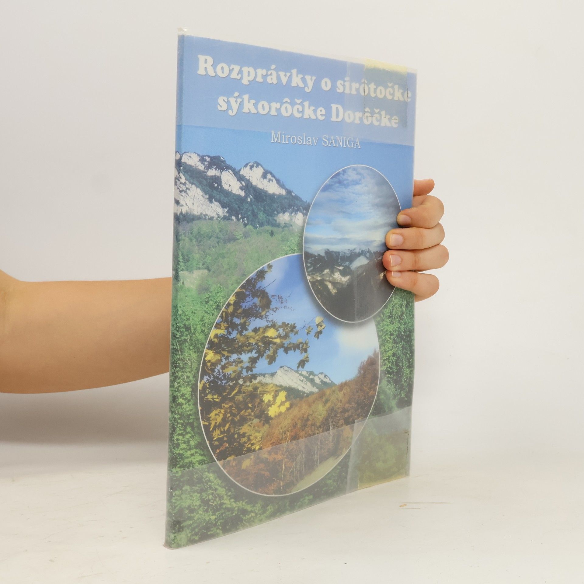 Miroslav Saniga Rozprávky o sirôtočke sýkorôčke Dorôčke