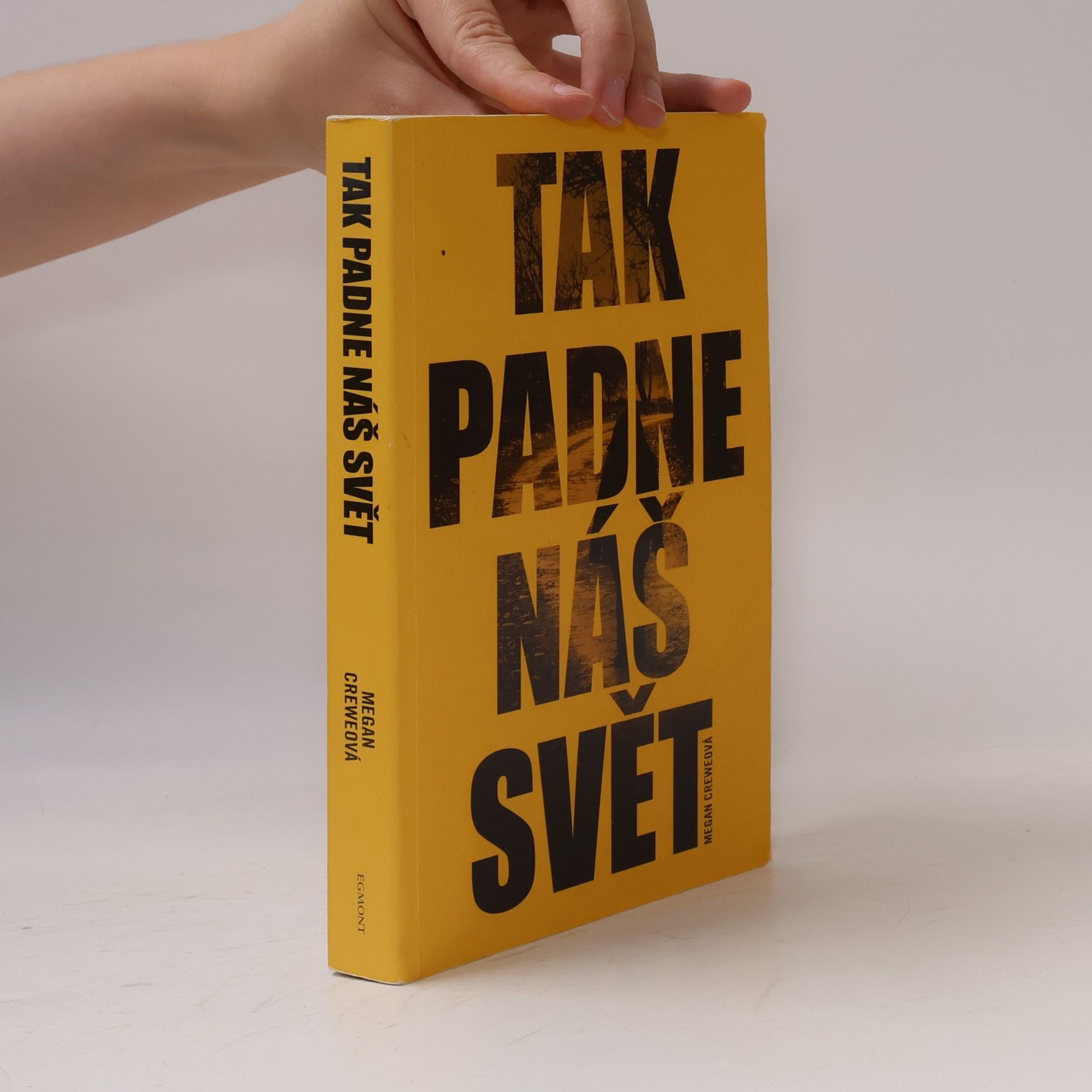 Megan Crewe Tak padne náš svět