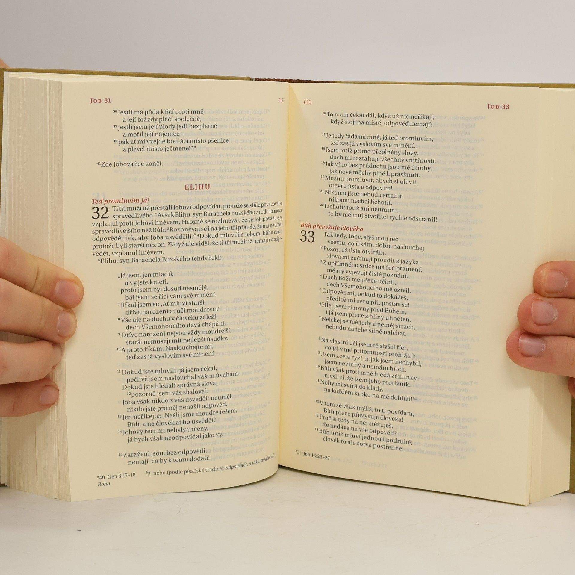 Alexandr Flek Bible. Překlad 21. století
