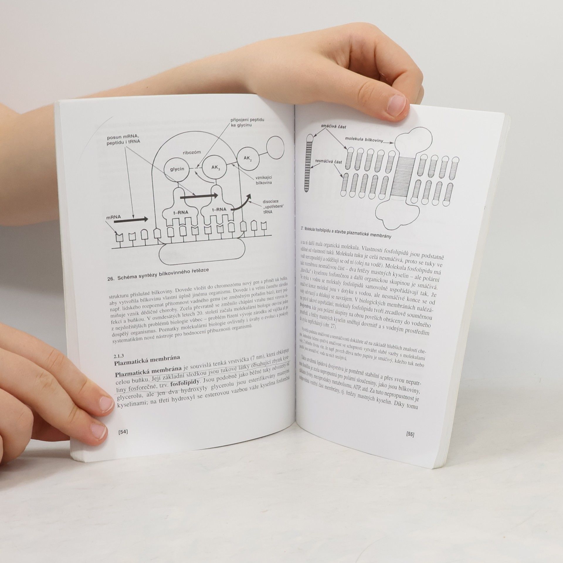 Václav Kubišta Obecná biologie. Úvodní učební text biologie pro 1. ročník gymnázií