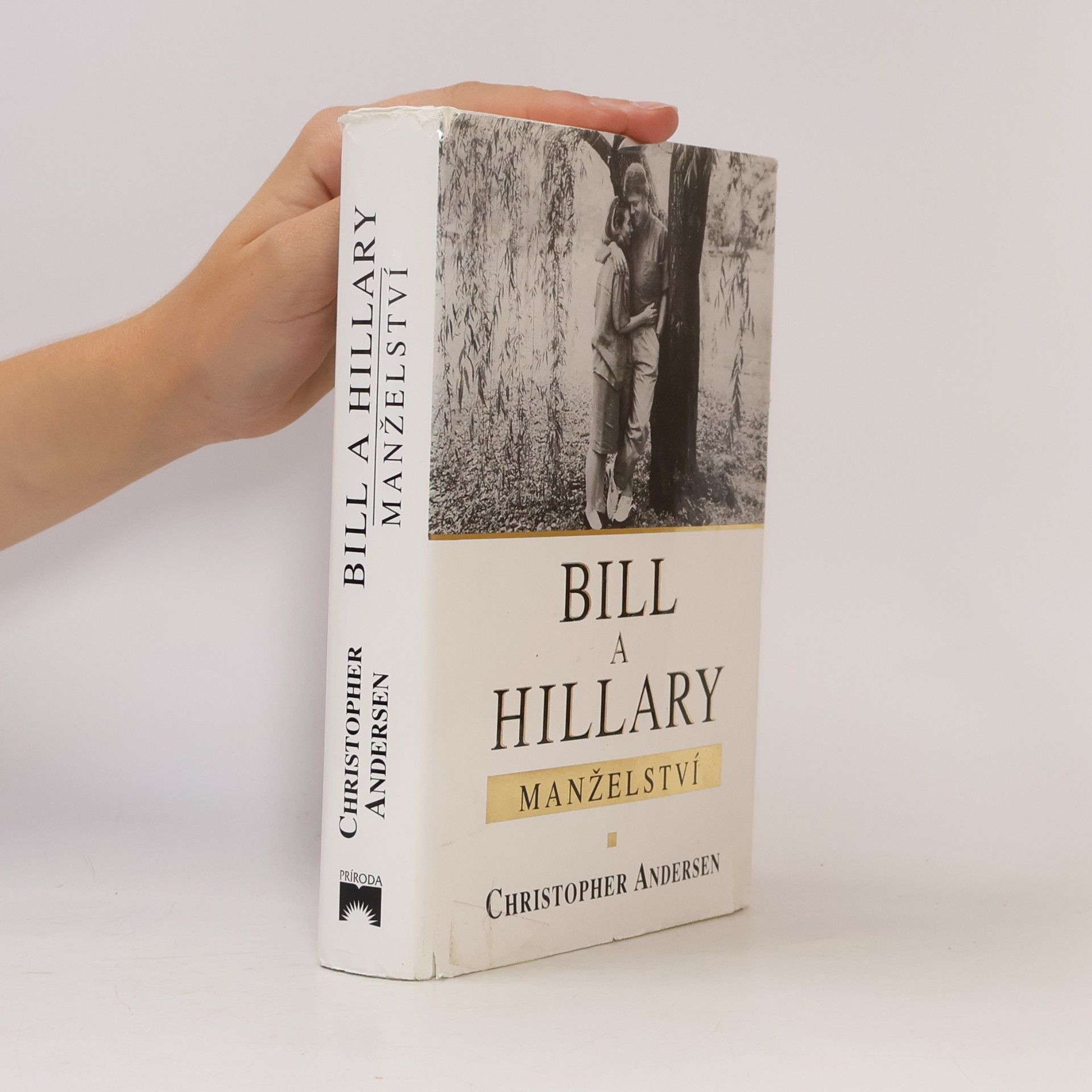 Christopher Andersen Bill a Hillary: manželství