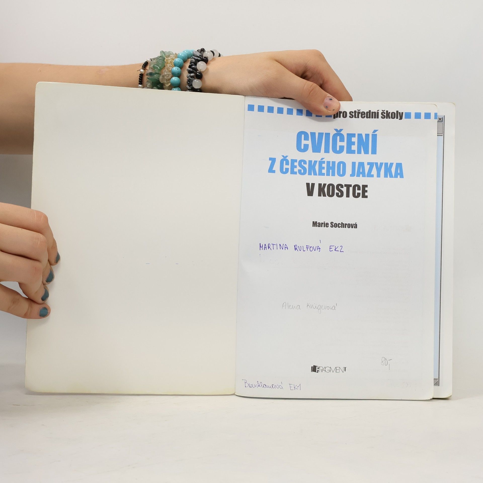 Marie Sochrová Cvičení z českého jazyka v kostce : pro střední školy