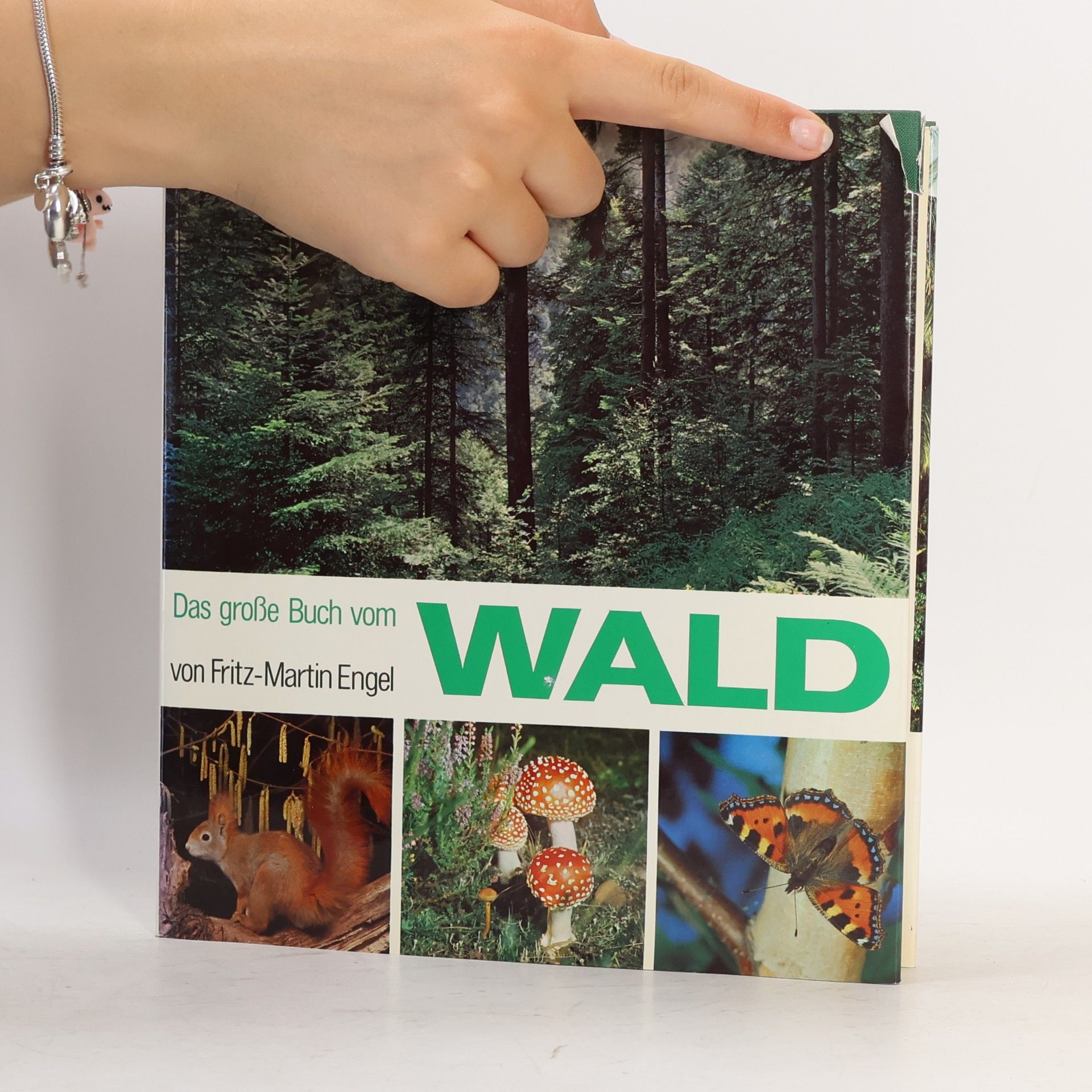 Fritz-Martin Engel Das grosse Buch vom Wald