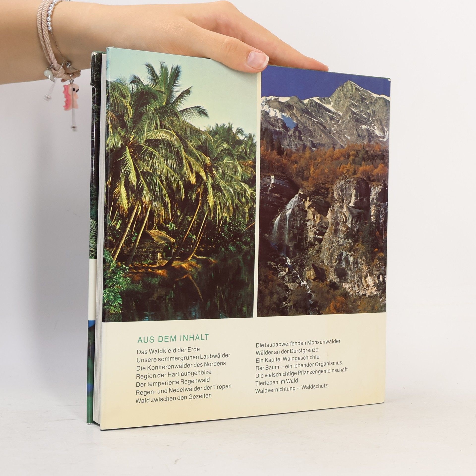 Fritz-Martin Engel Das grosse Buch vom Wald