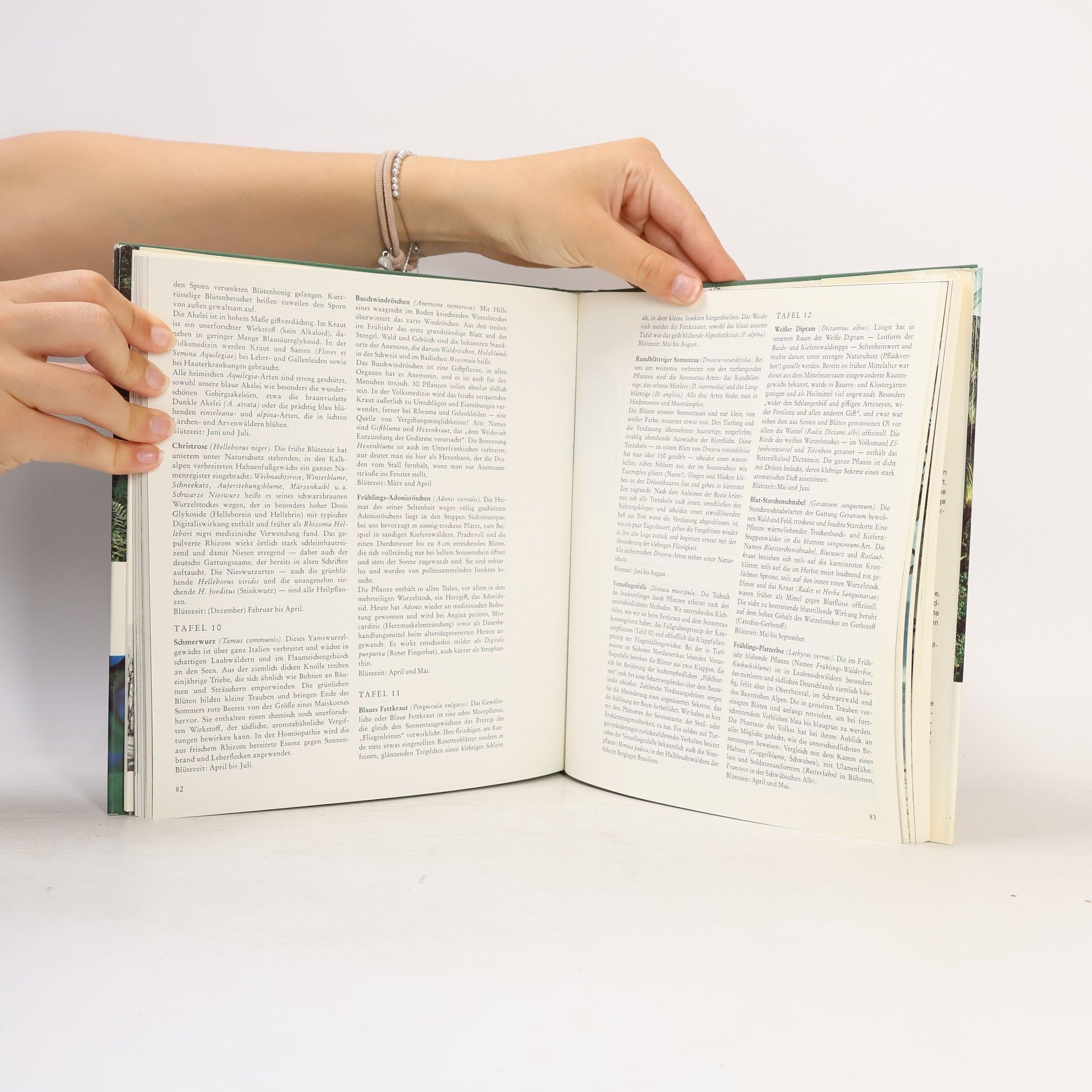 Fritz-Martin Engel Das grosse Buch vom Wald