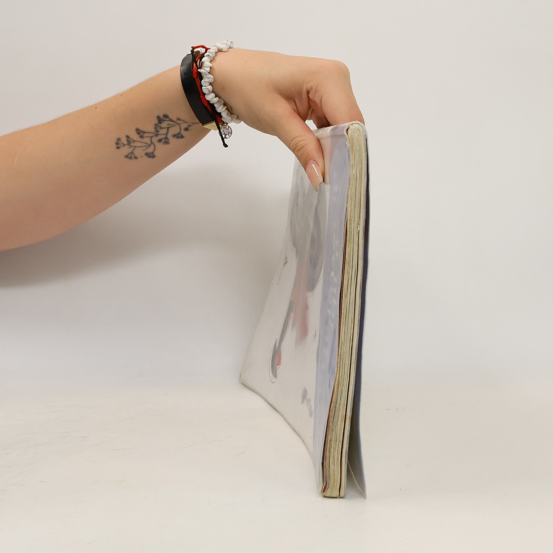 Chiara Ferri Il libro di letteratura
