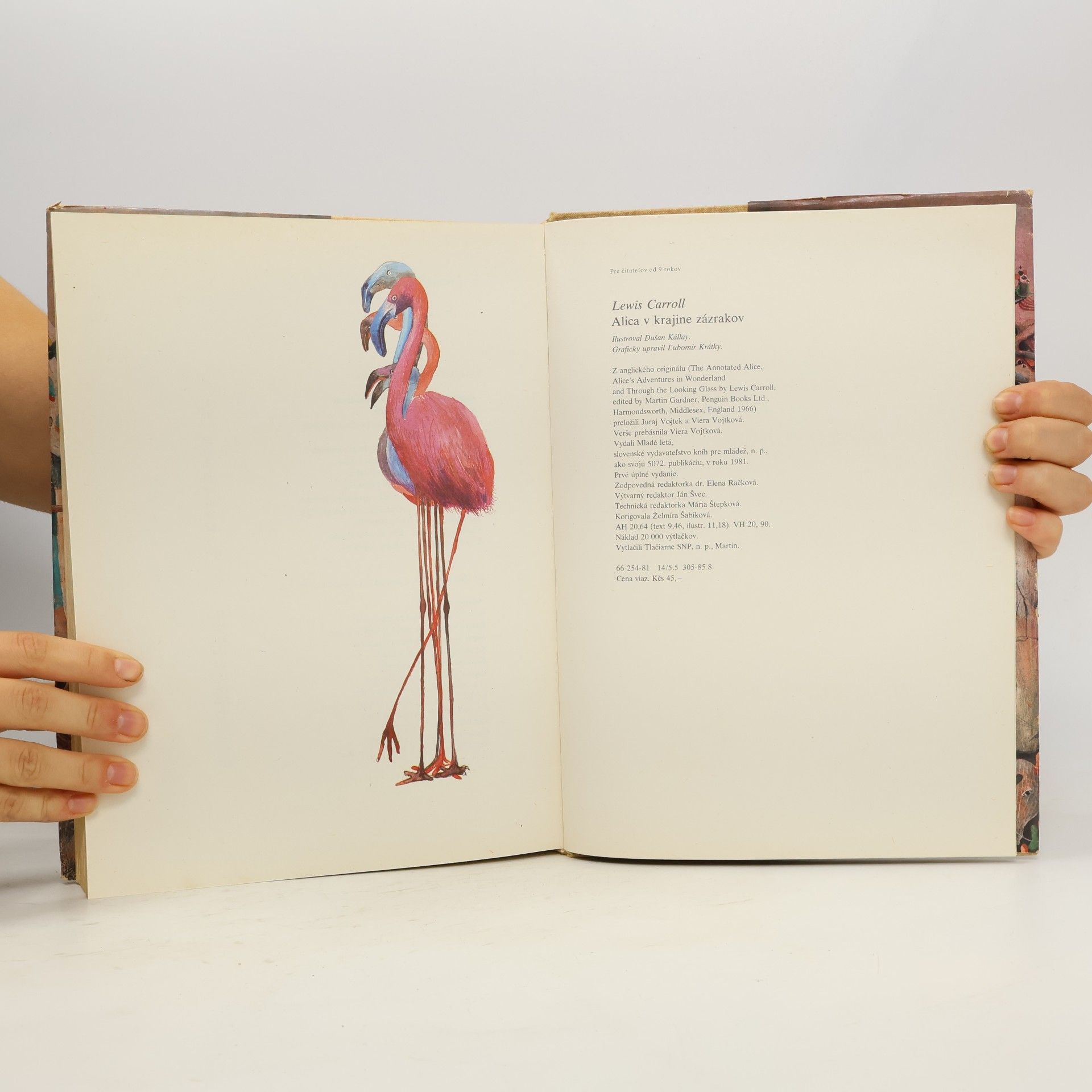 Lewis Carroll Alica v krajine zázrakov