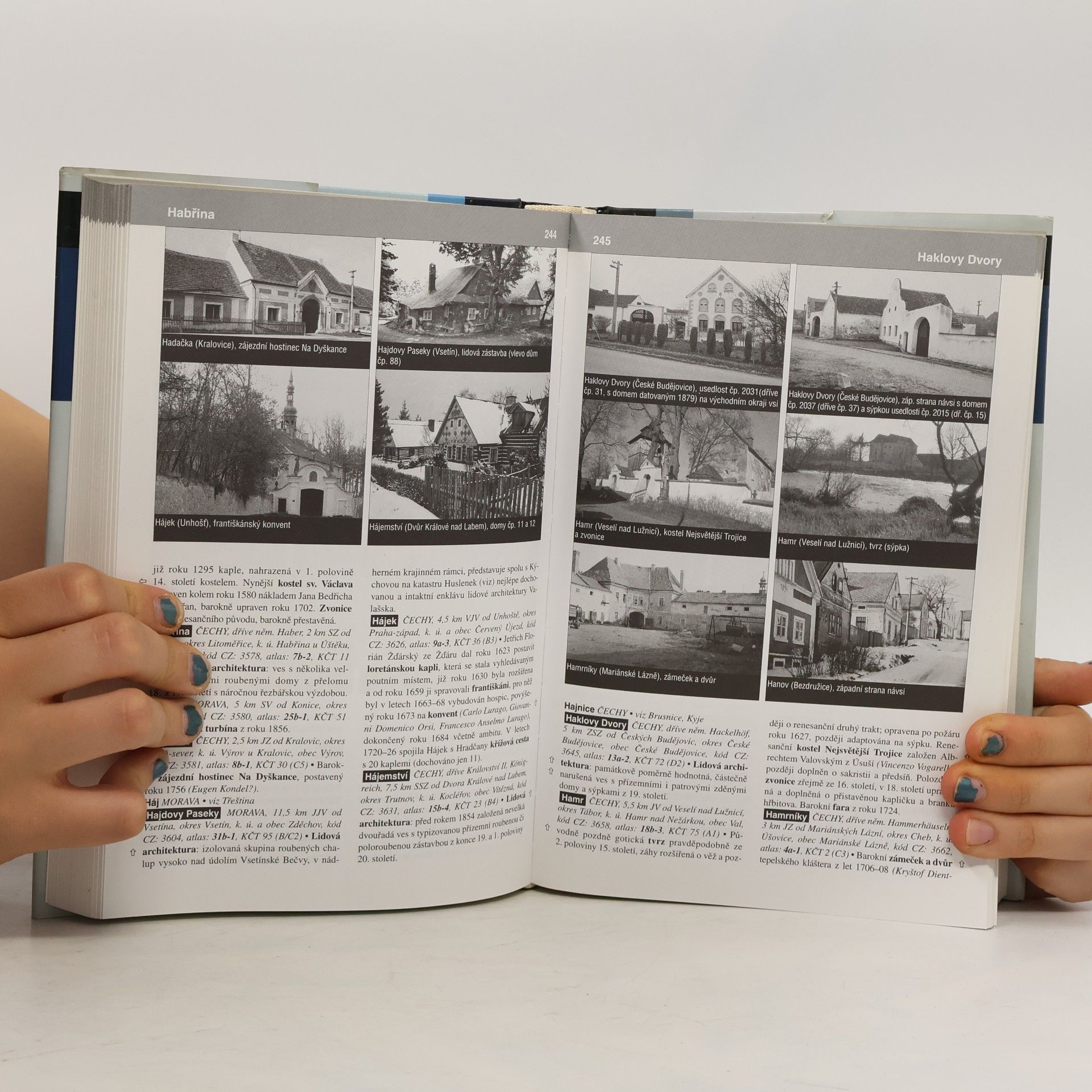Kolektiv autorů Atlas památek. Česká republika 1. A/N