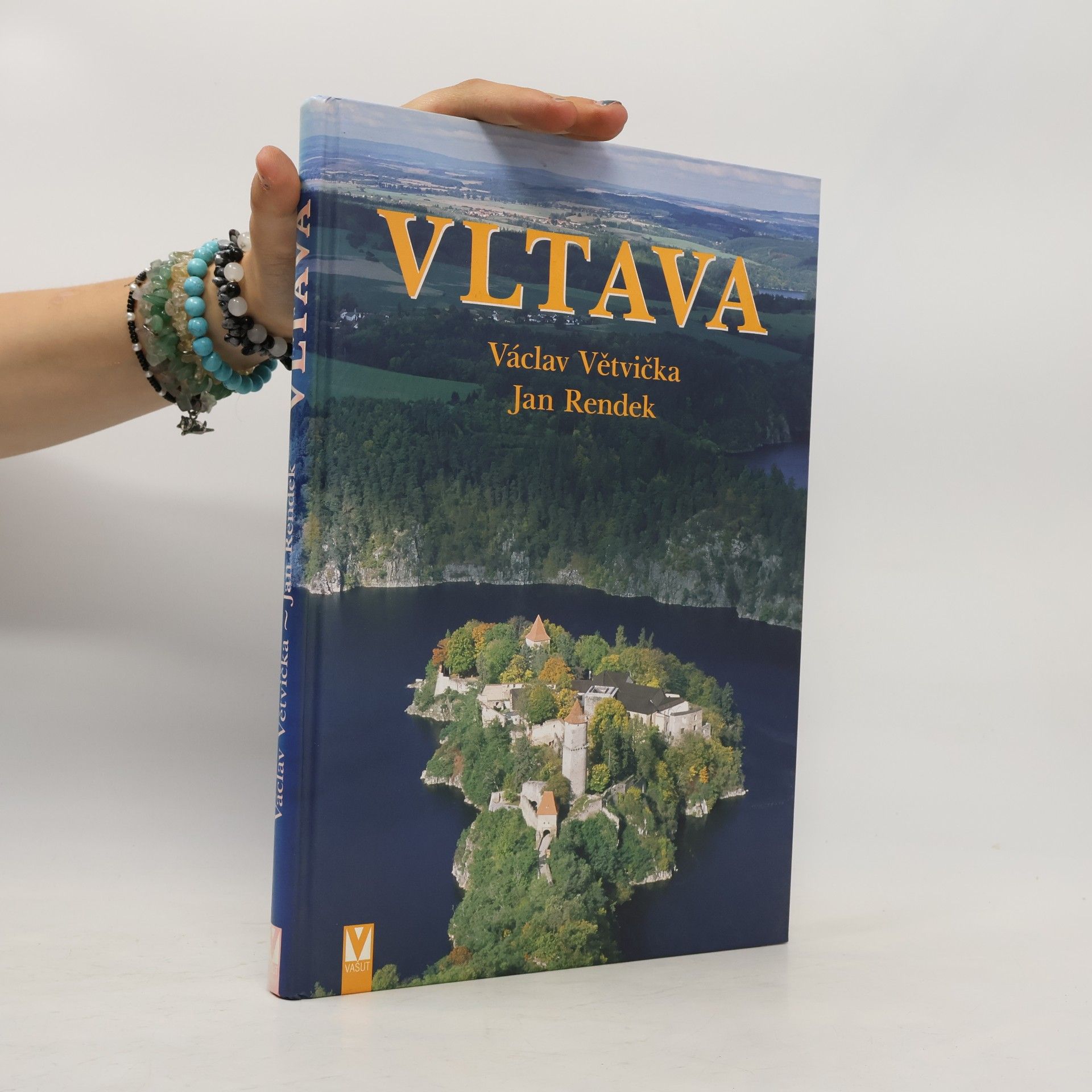 Václav Větvička Vltava