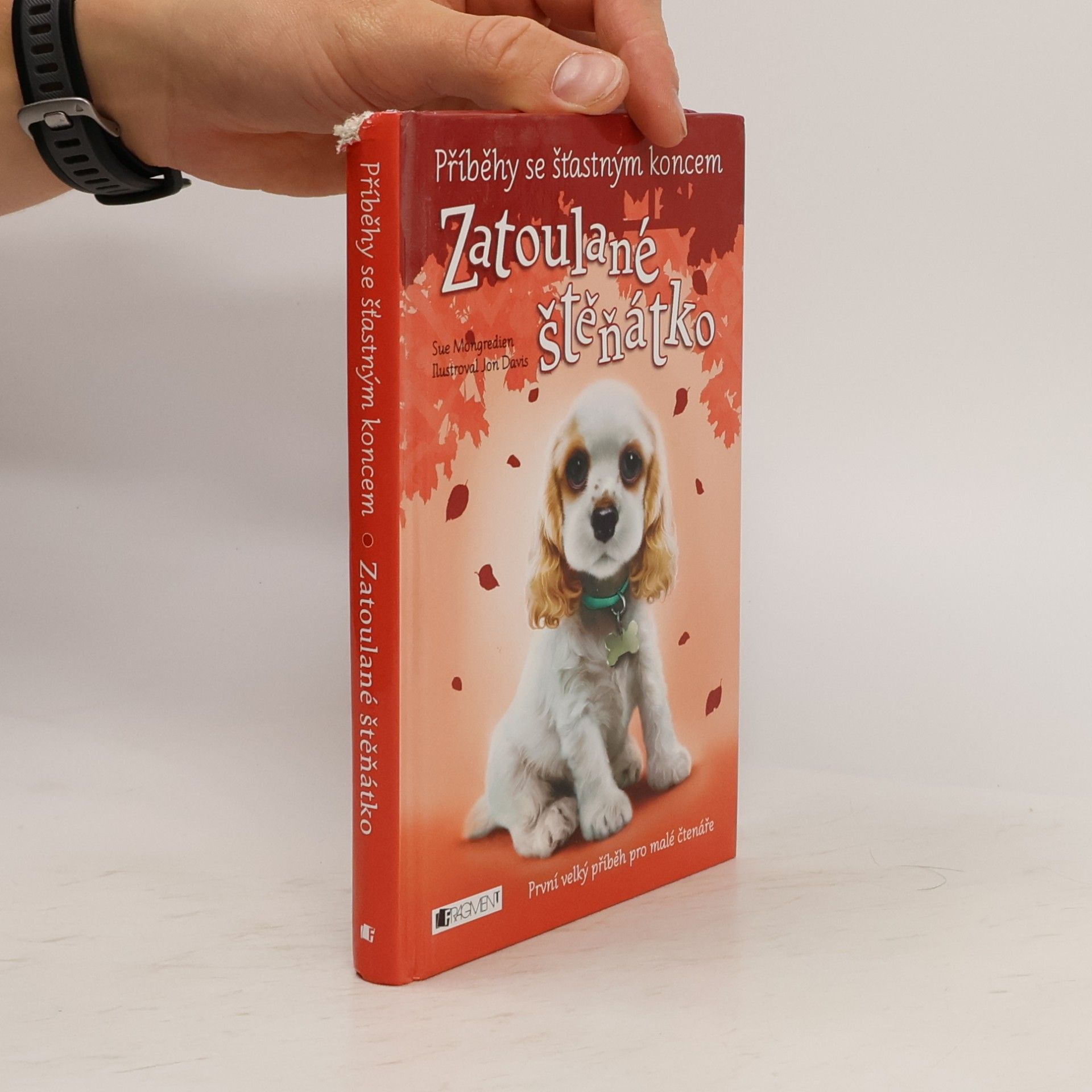 Lucy Diamond Zatoulané štěňátko