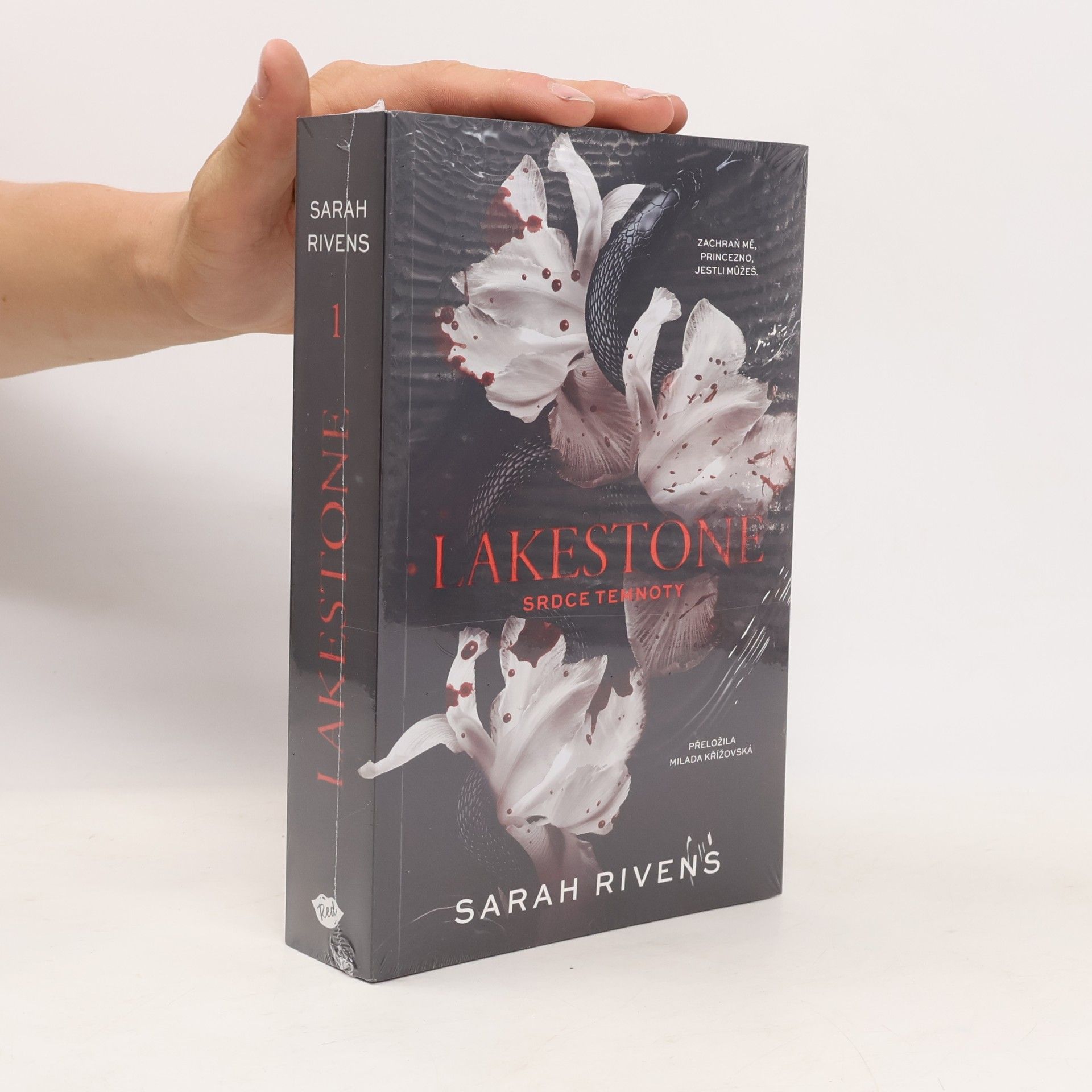 Lakestone: Srdce temnoty