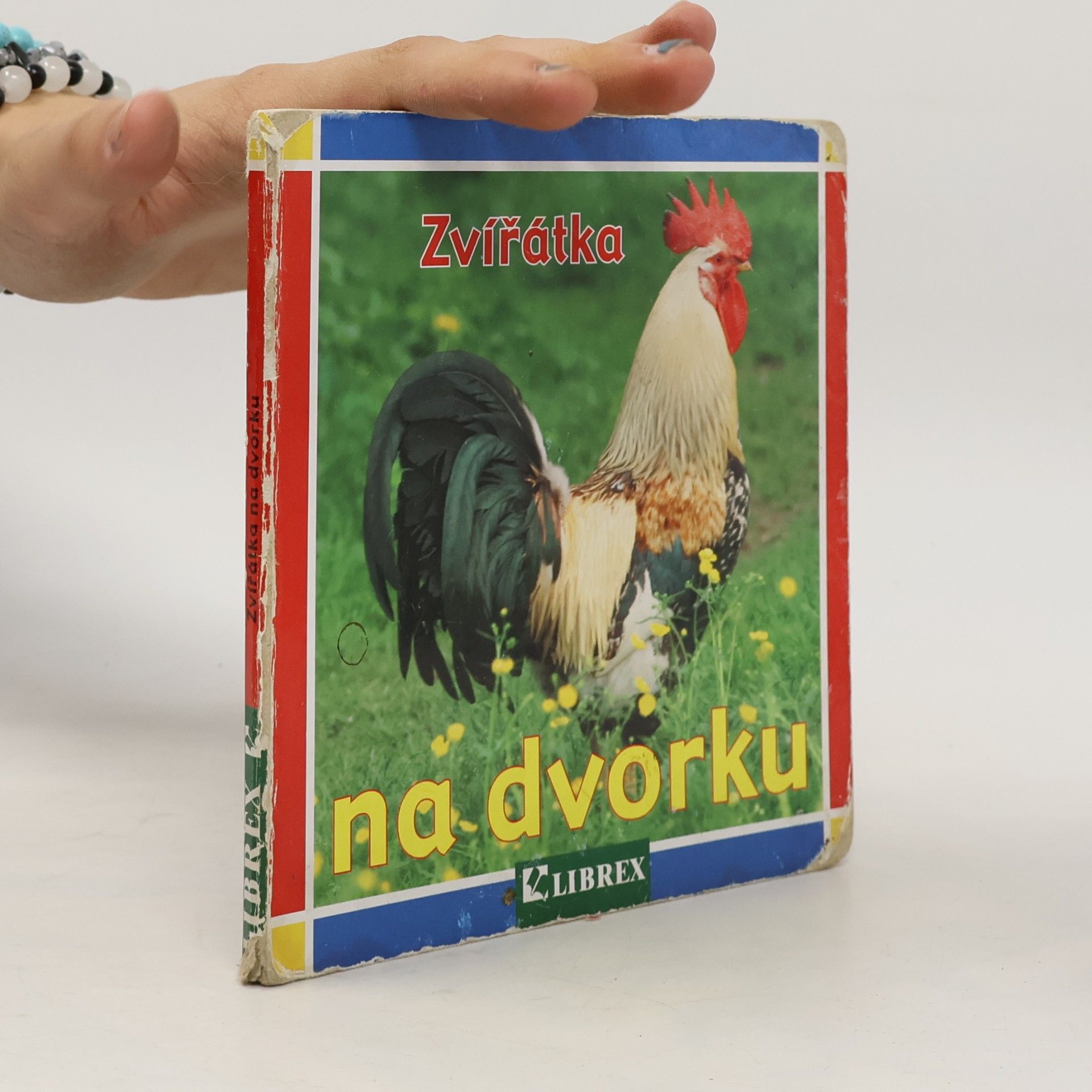 Zvířátka na dvorku