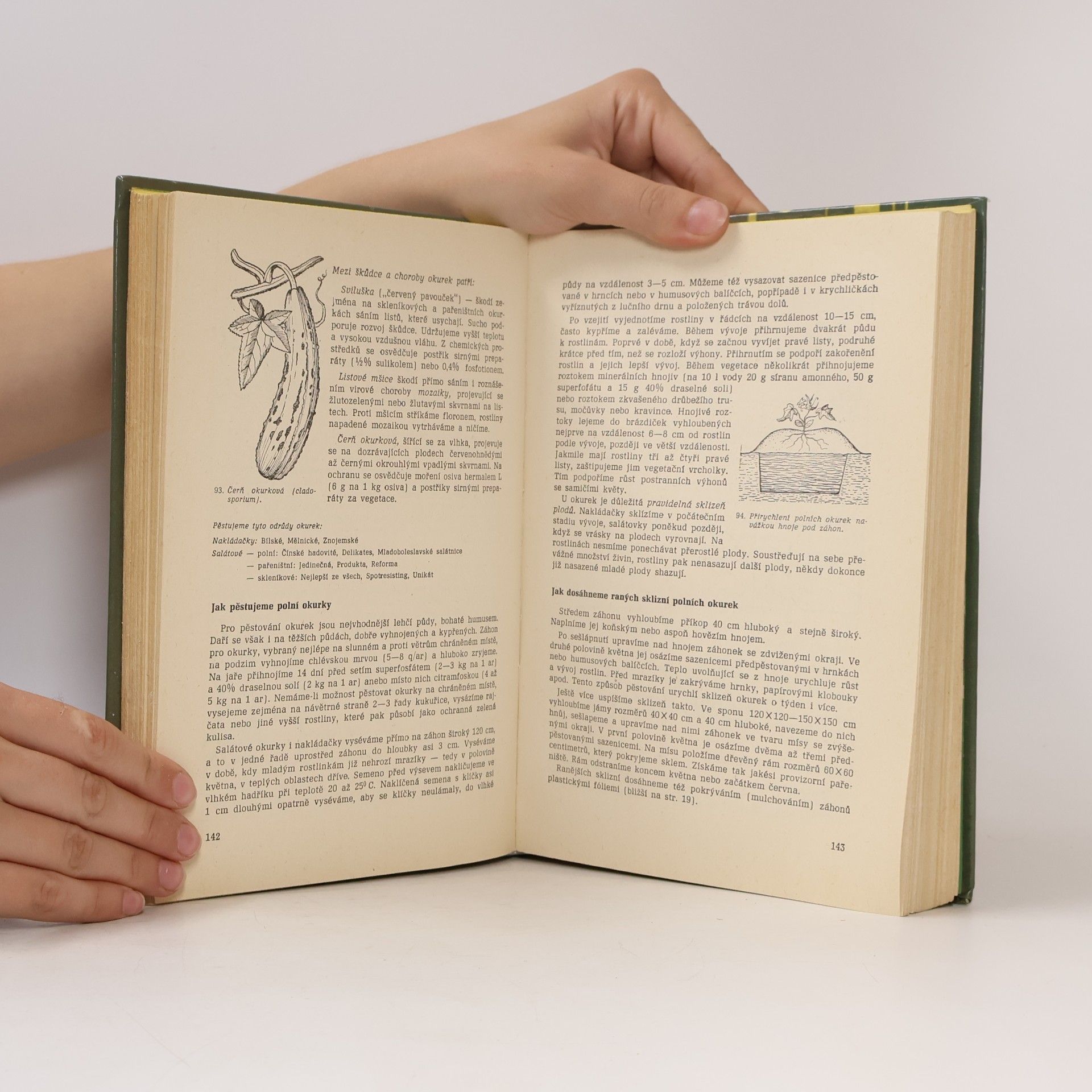 Autorenkollektiv 1000 dobrých rad mladým ovocnářům, květinářům, zelinářům, pěstitelům, pokusníkům