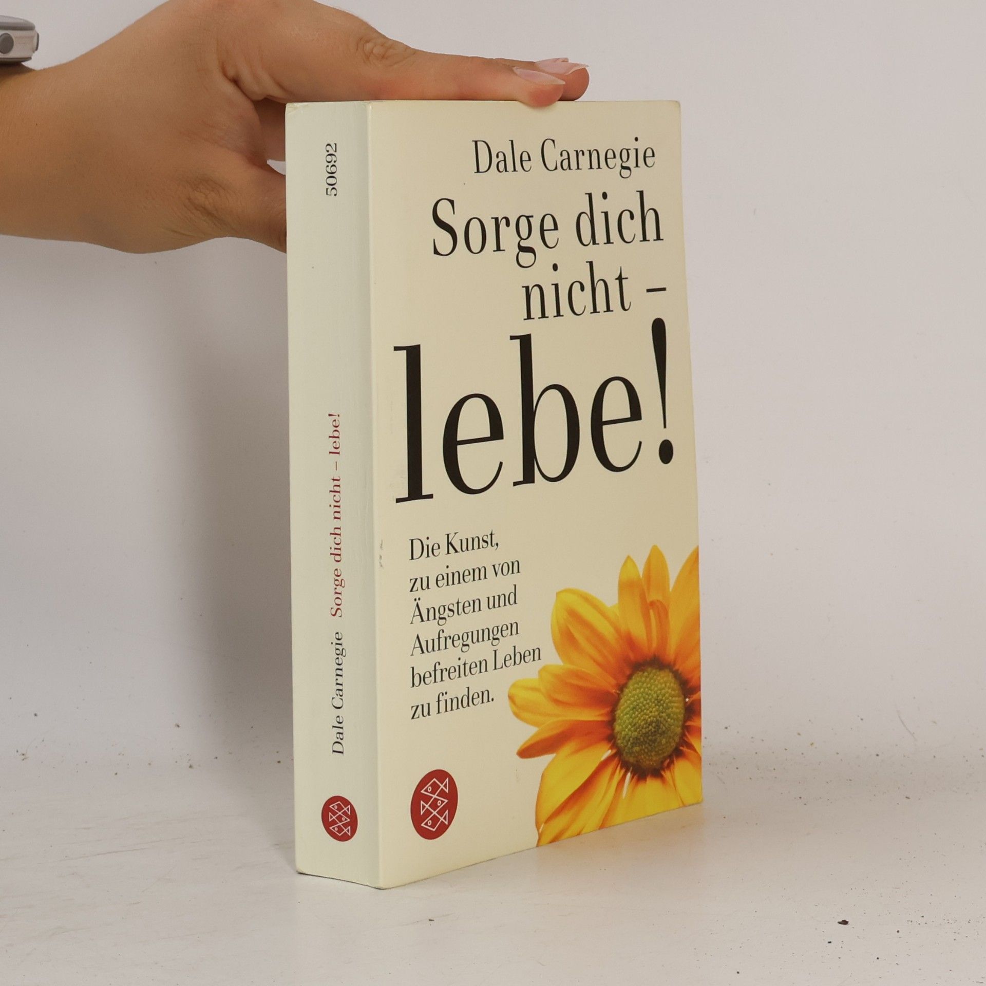 Dale Carnegie Sorge dich nicht - lebe!