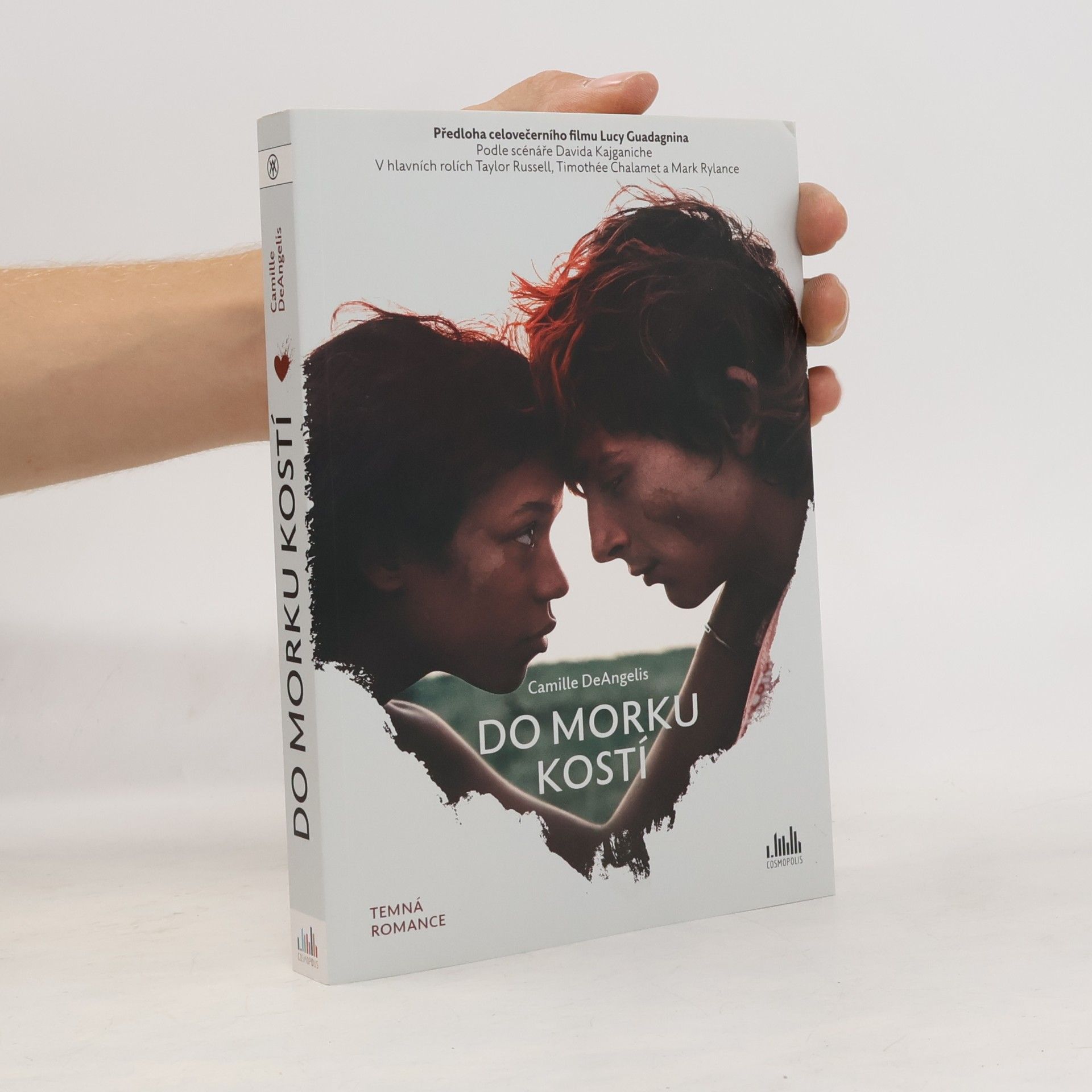 Camille DeAngelis Do morku kostí