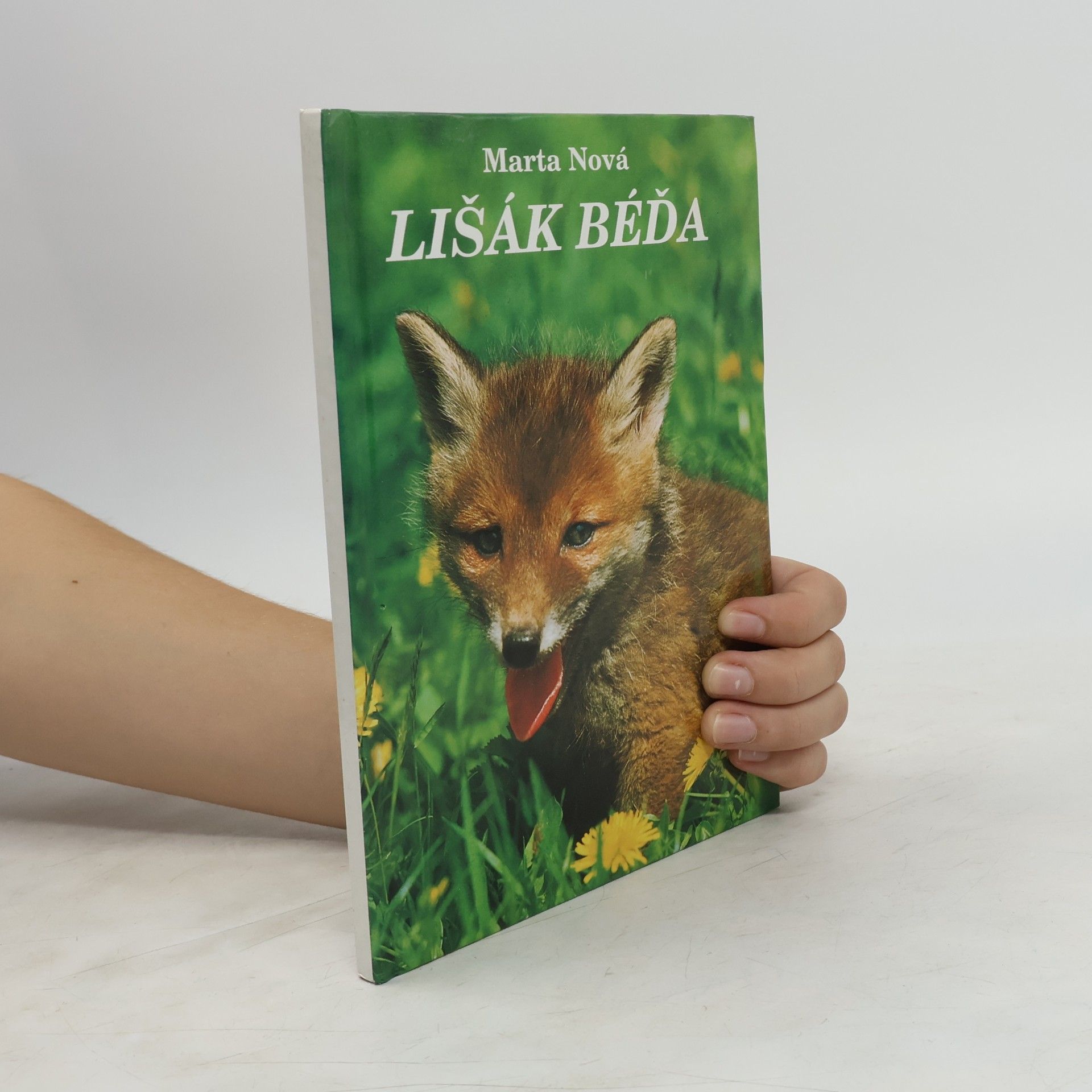 Marta Nová Lišák Béďa