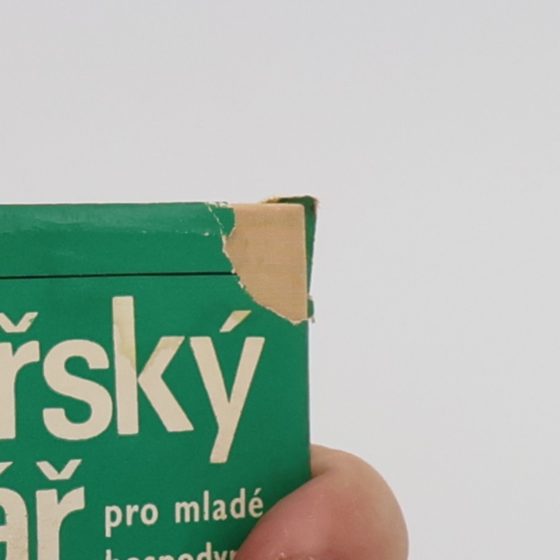 Joza Břízová Kuchařský slabikář pro mladé hospodyně
