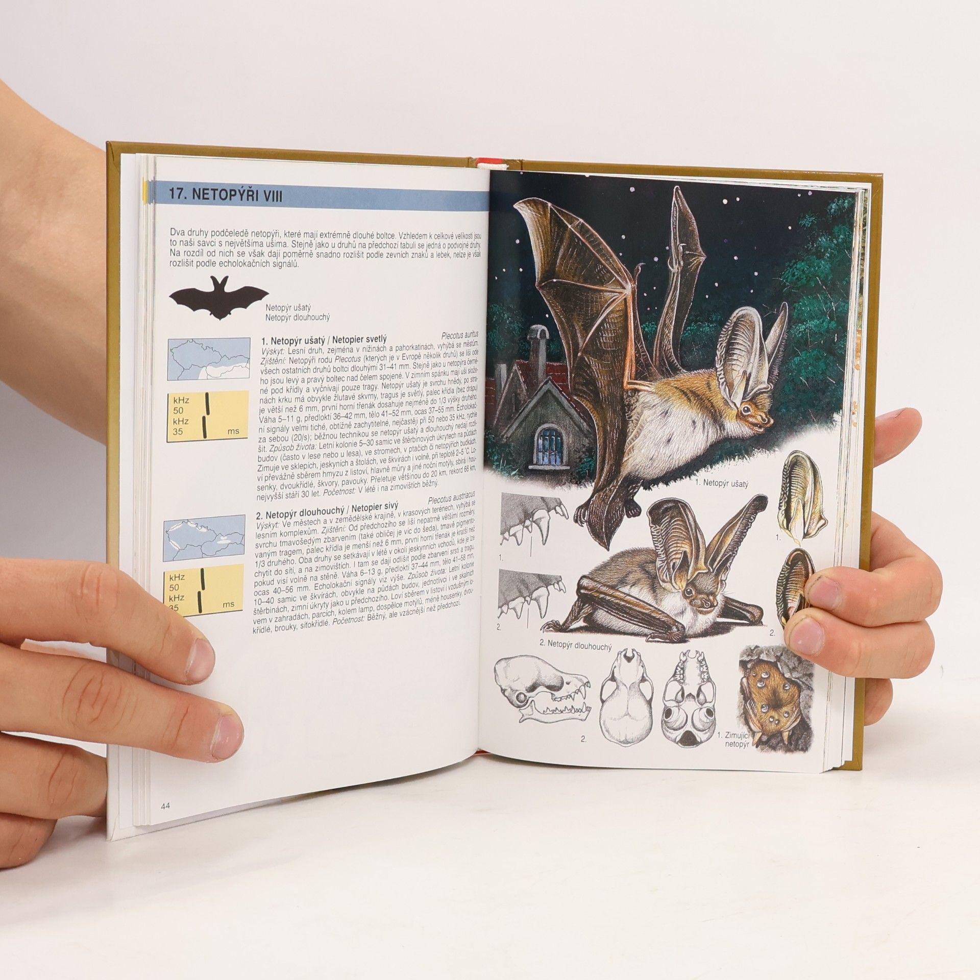 Jiří Gaisler Atlas savců České a Slovenské republiky