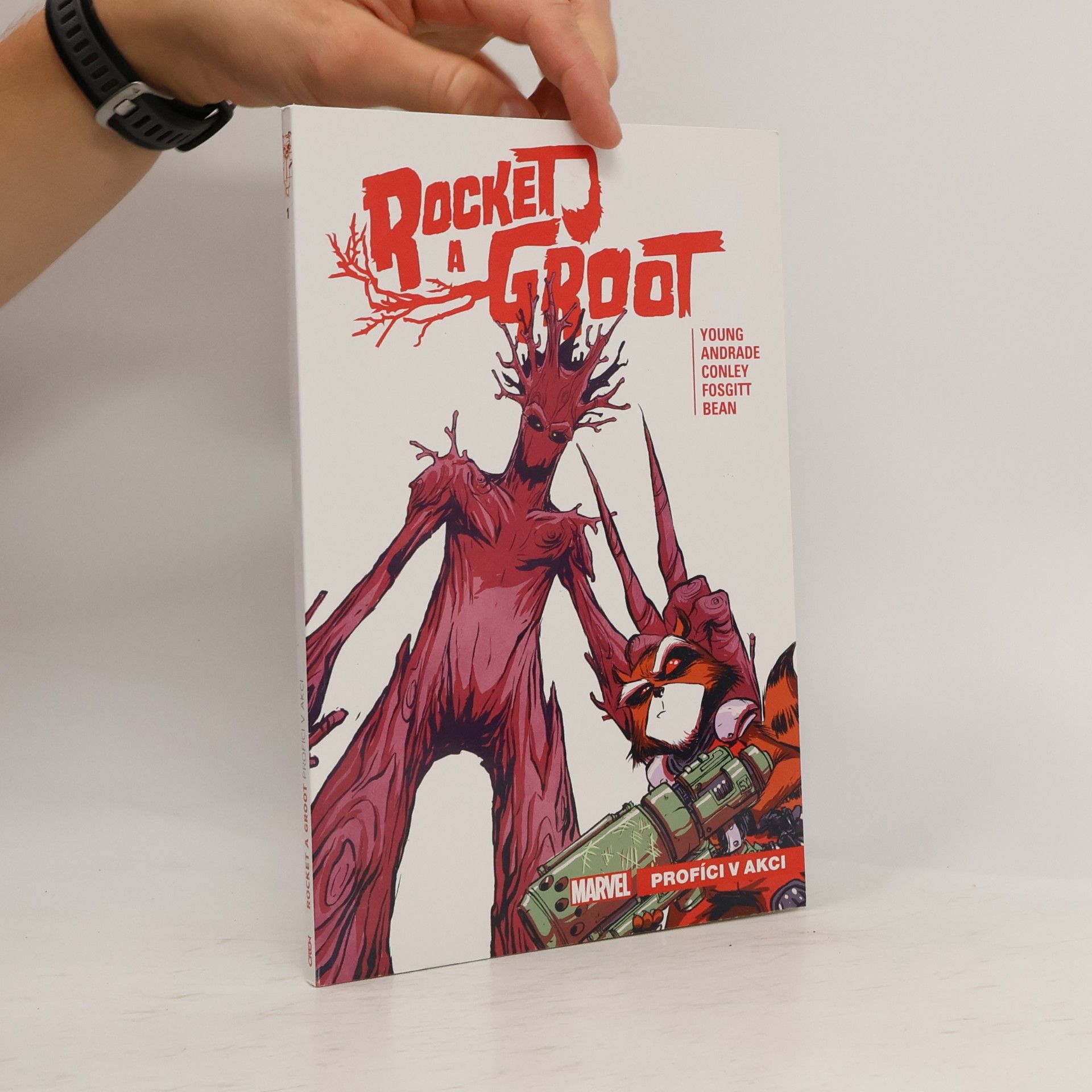 Skottie Young Rocket a Groot. Profíci v akci