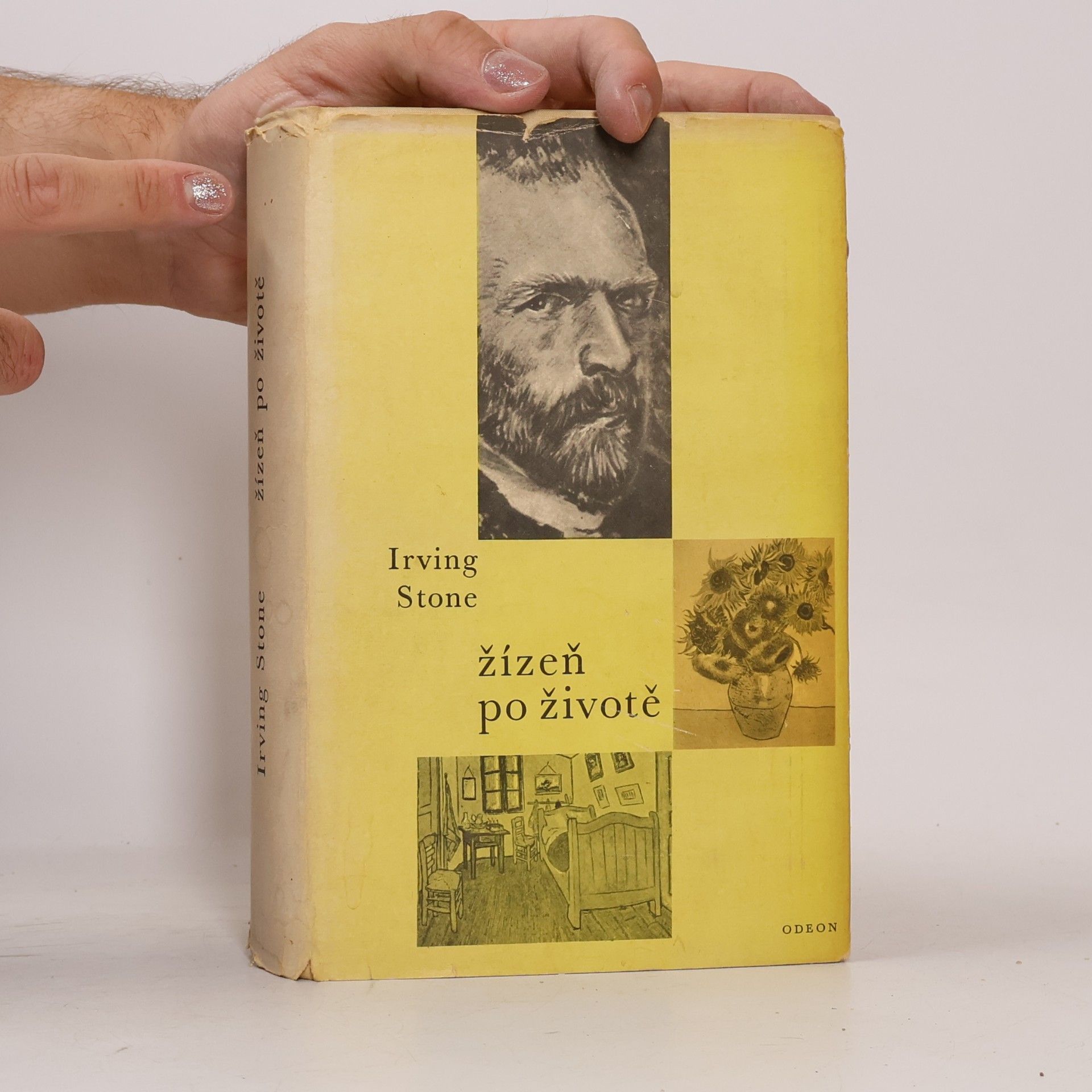 Irving Stone Žízeň po životě