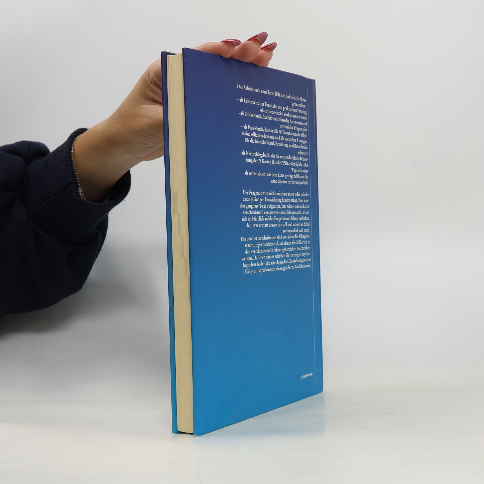Hajo Banzhaf Das Arbeitsbuch zum Tarot