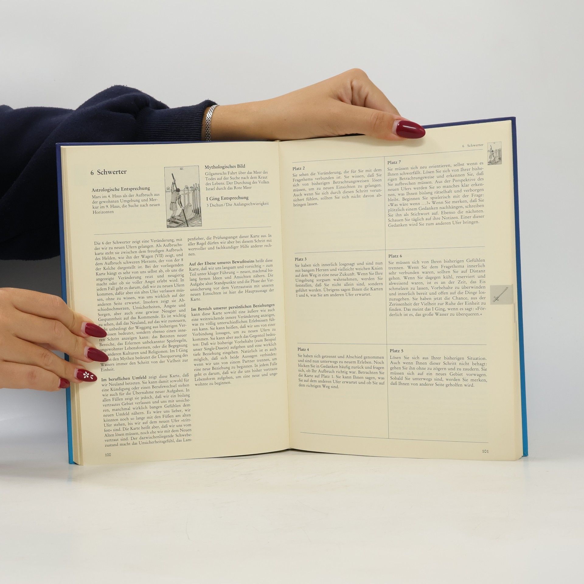 Hajo Banzhaf Das Arbeitsbuch zum Tarot