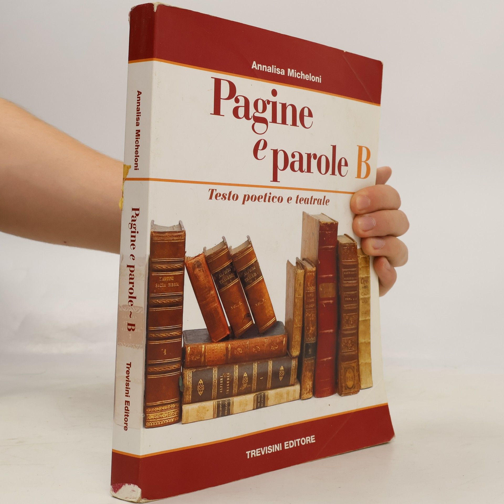 Annalisa Micheloni Pagine e parole. Volume unico. Con CD audio. Per le scuole superiori.