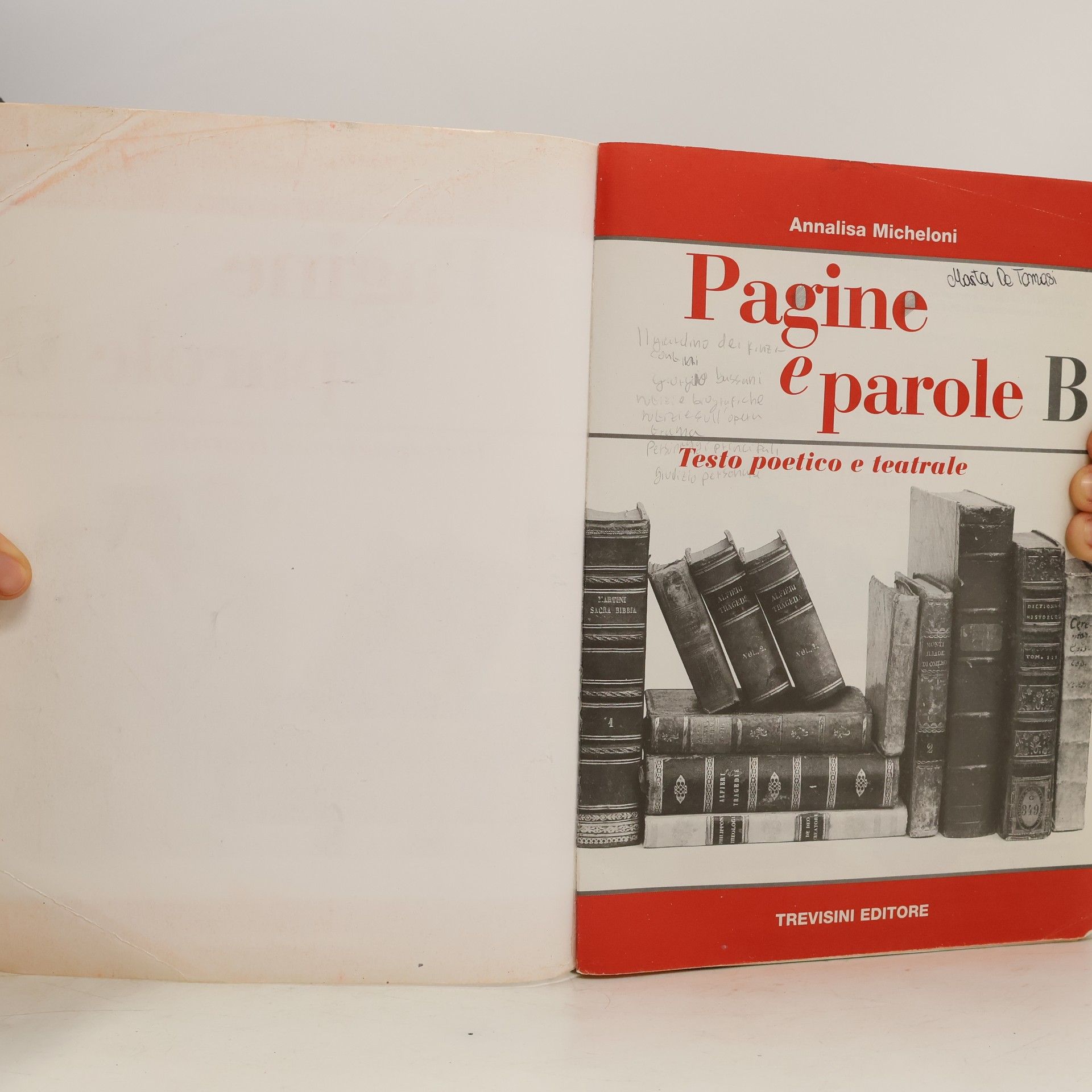 Annalisa Micheloni Pagine e parole. Volume unico. Con CD audio. Per le scuole superiori.