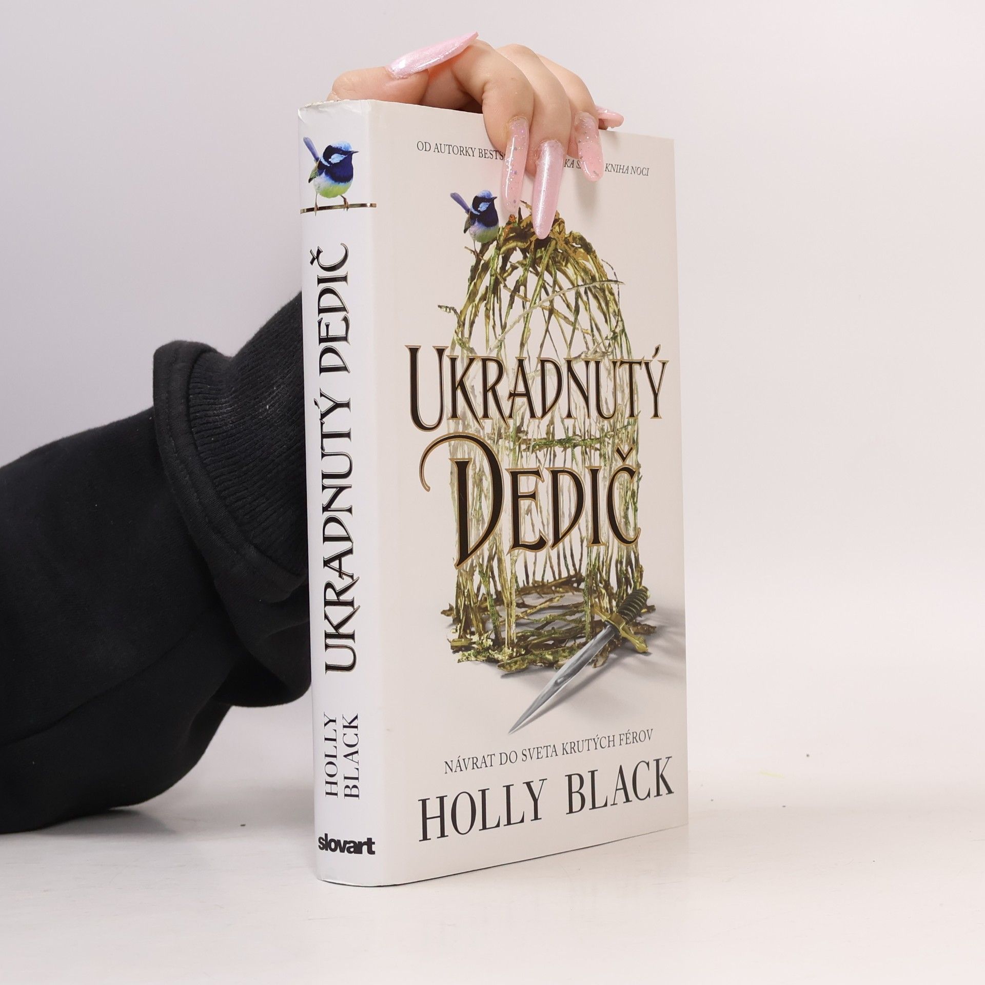 Holly Black Ukradnutý Dedič