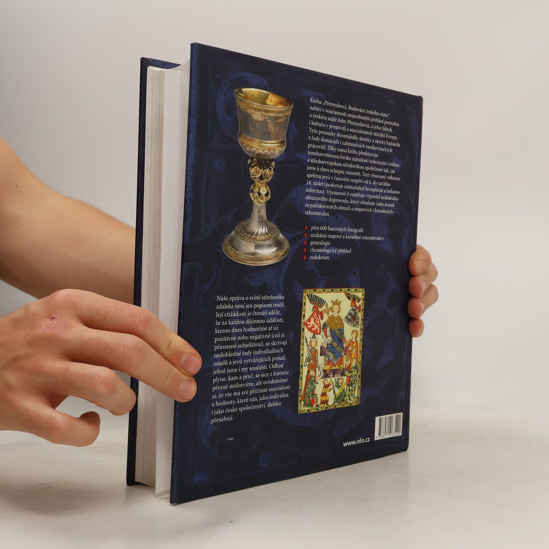 Collectif d'auteurs Přemyslovci. Budování českého státu
