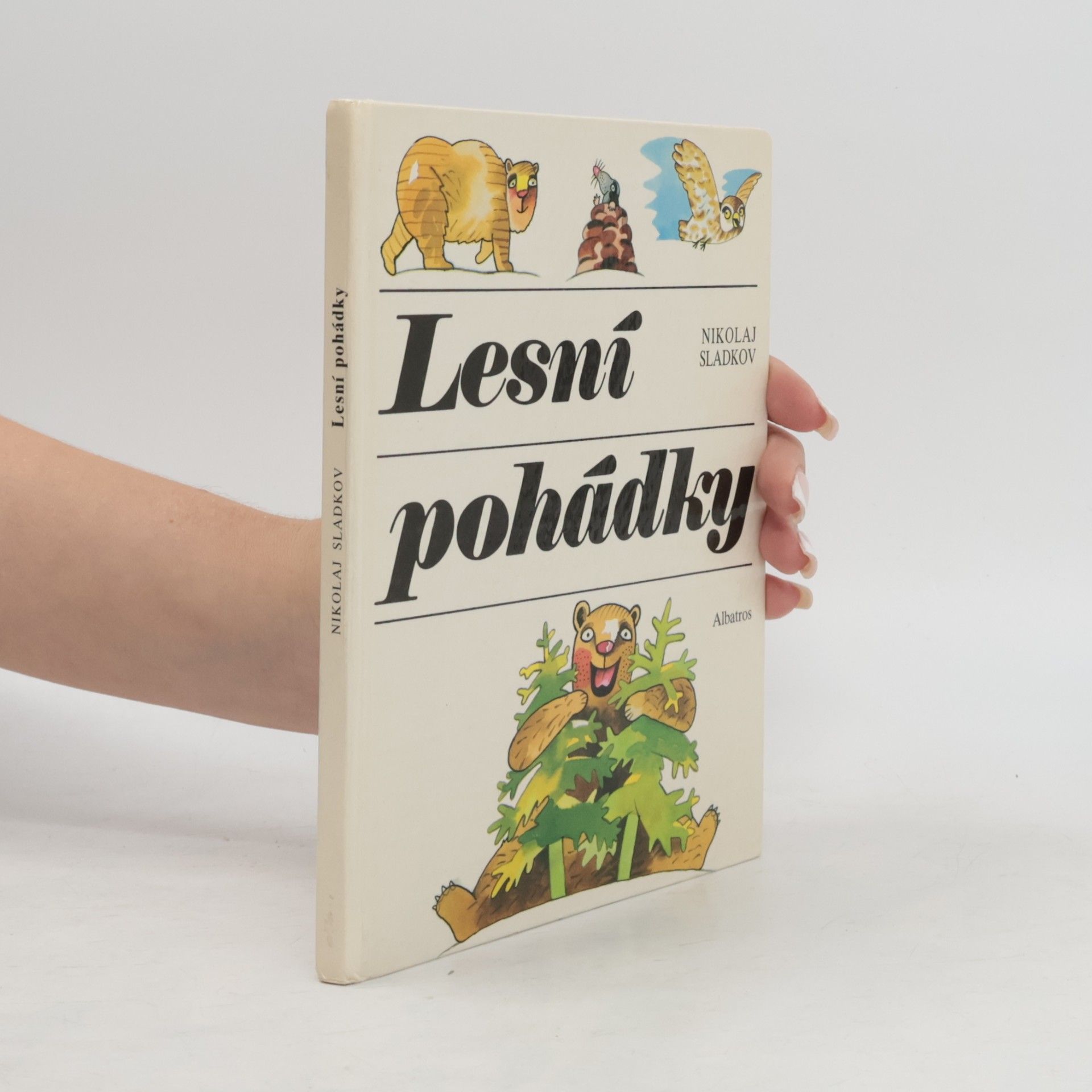Lesní pohádky. Rok v severském lese