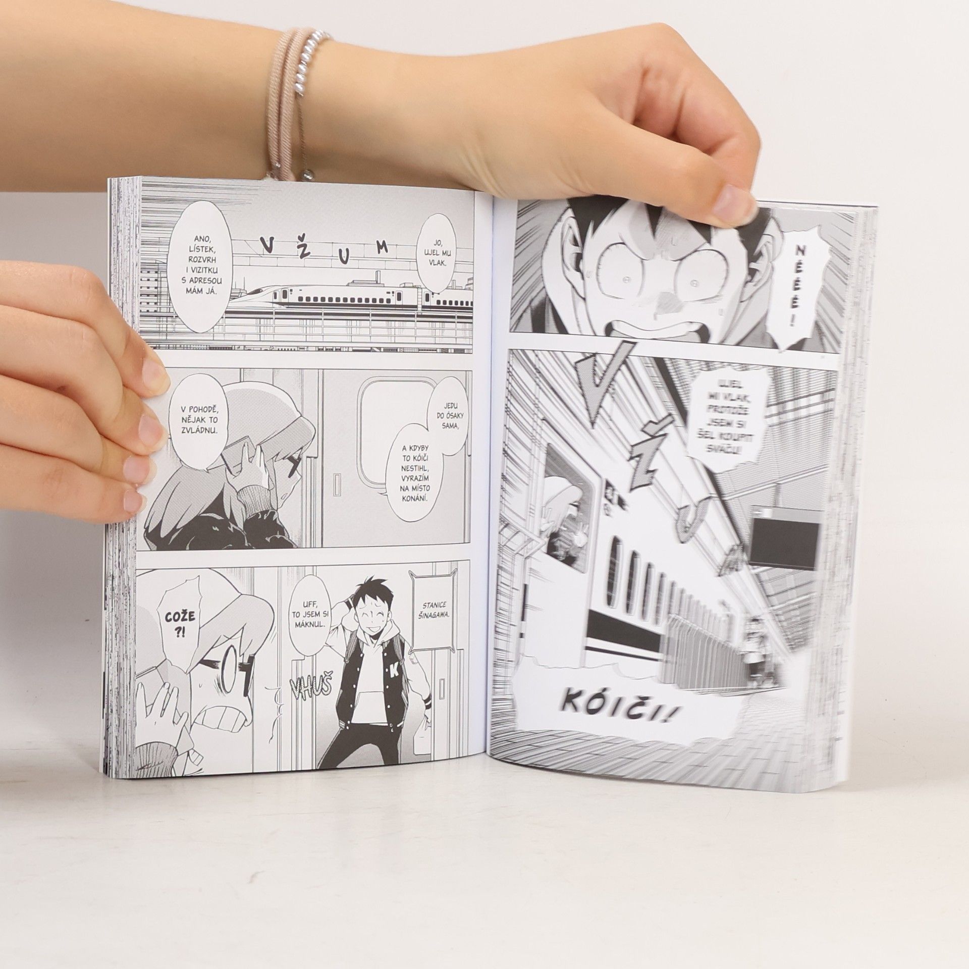 Kōhei Horikoshi Občanská hlídka : moje hrdinská akademie mimo zákon. 5