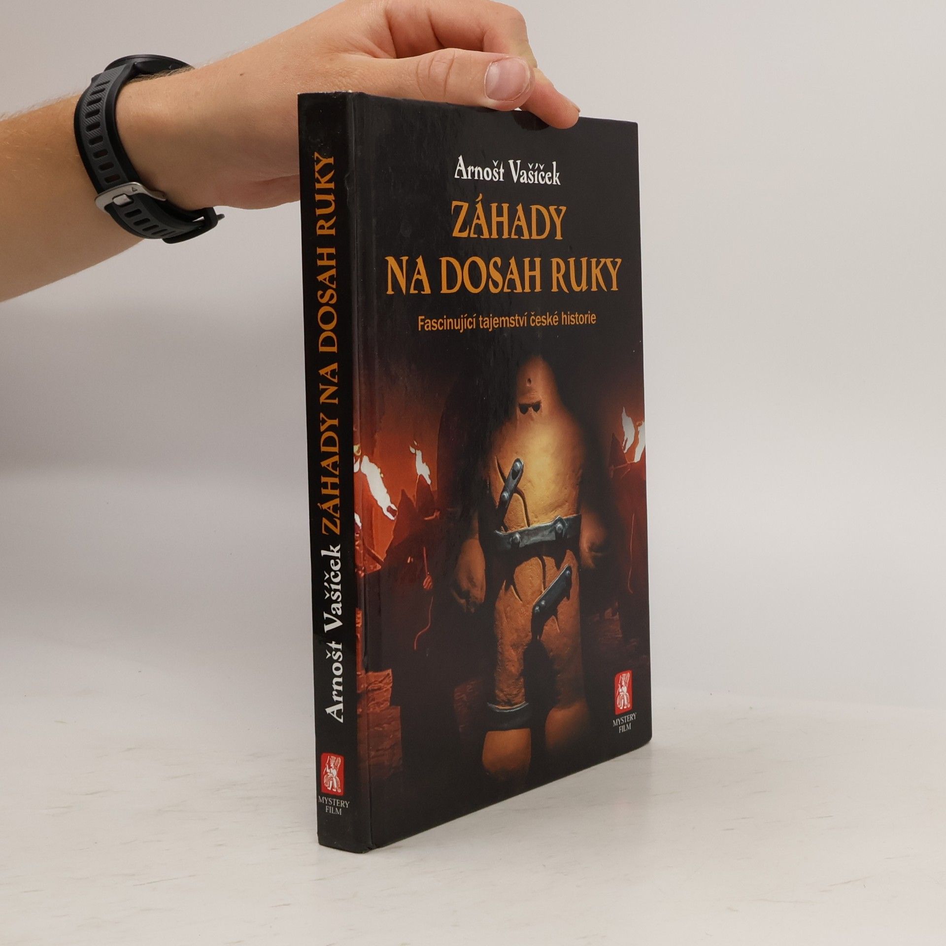 Arnošt Vašíček Záhady na dosah ruky : od magických rituálů v temném pravěku po nejnovější důkazy o UFO nad naším územím