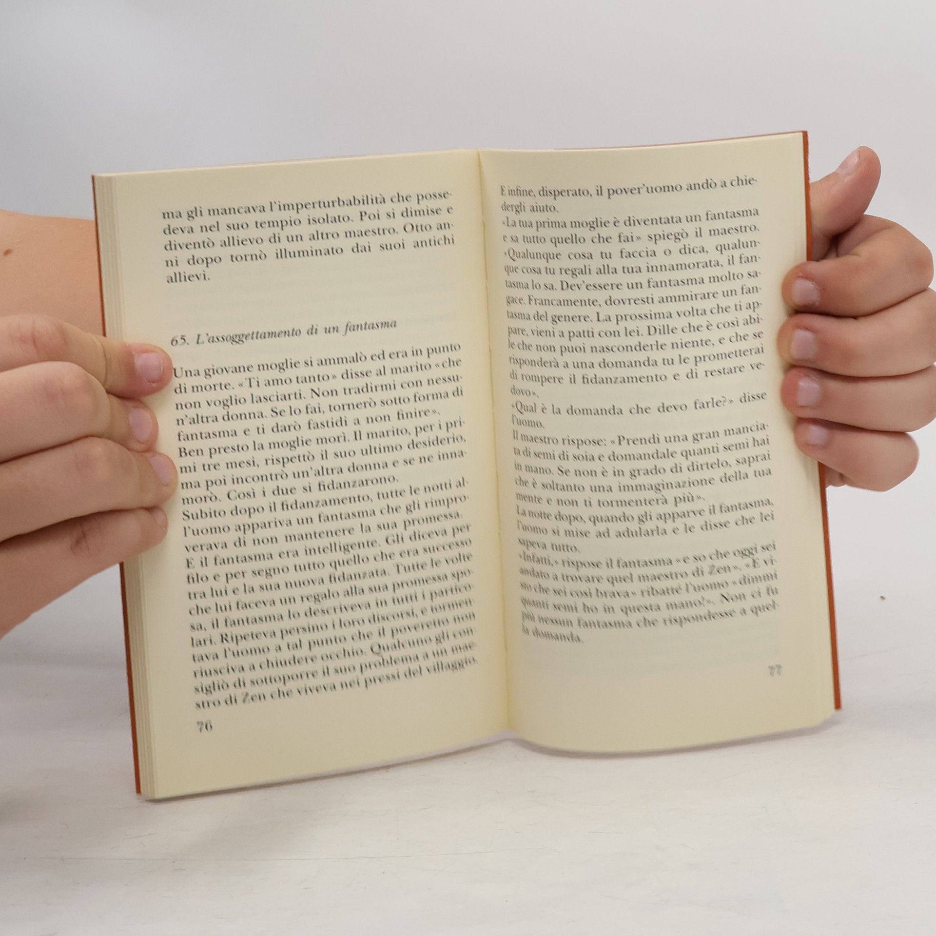 Autores varios 101 storie zen
