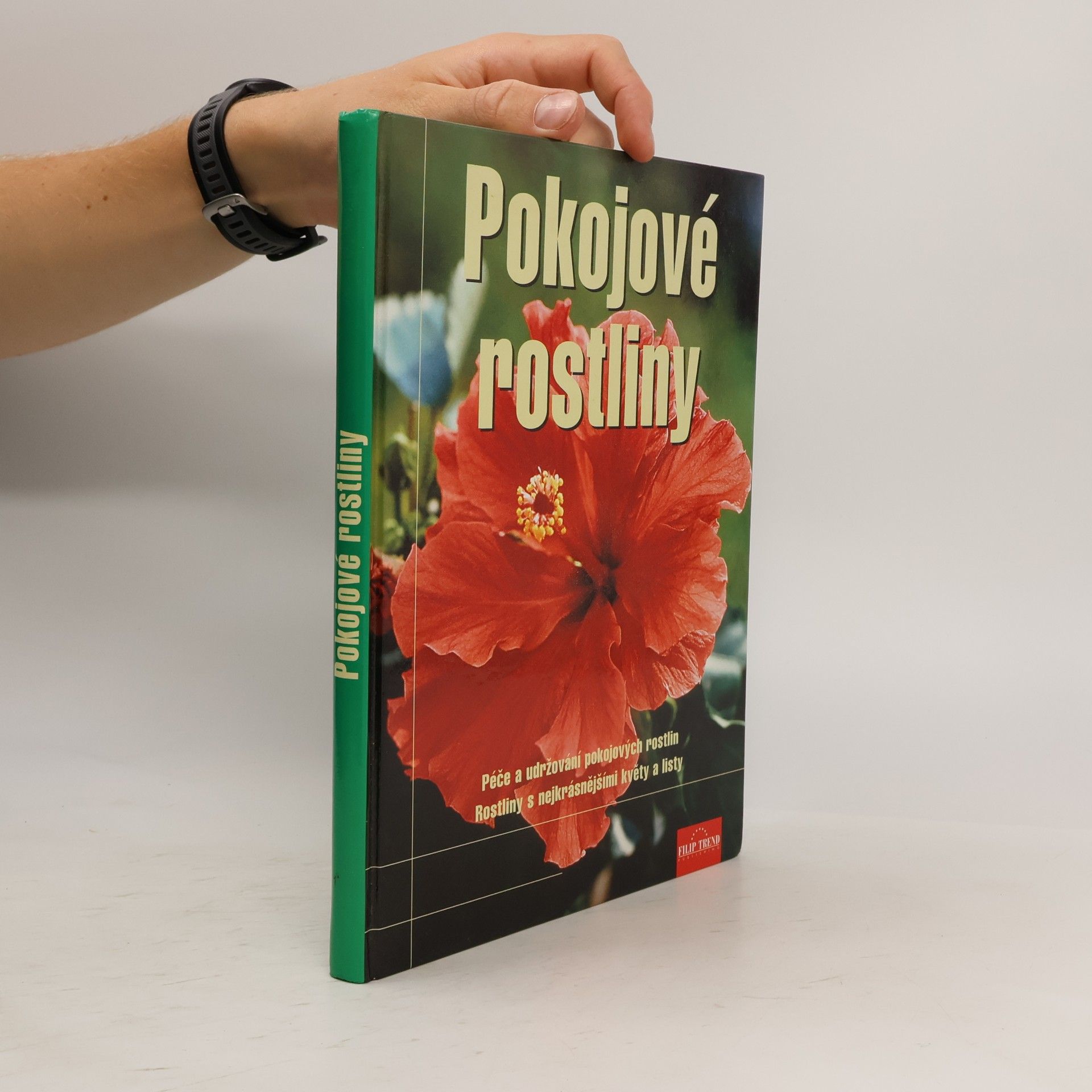 Jane Courtier Pokojové rostliny