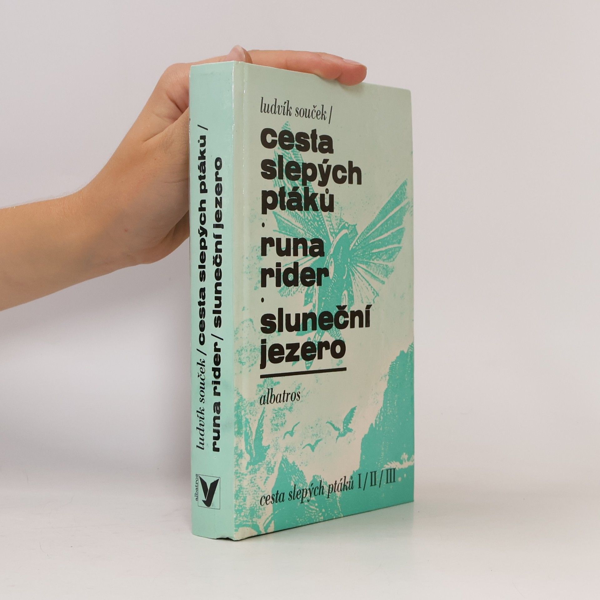 Cesta slepých ptáků. Runa rider. Sluneční jezero