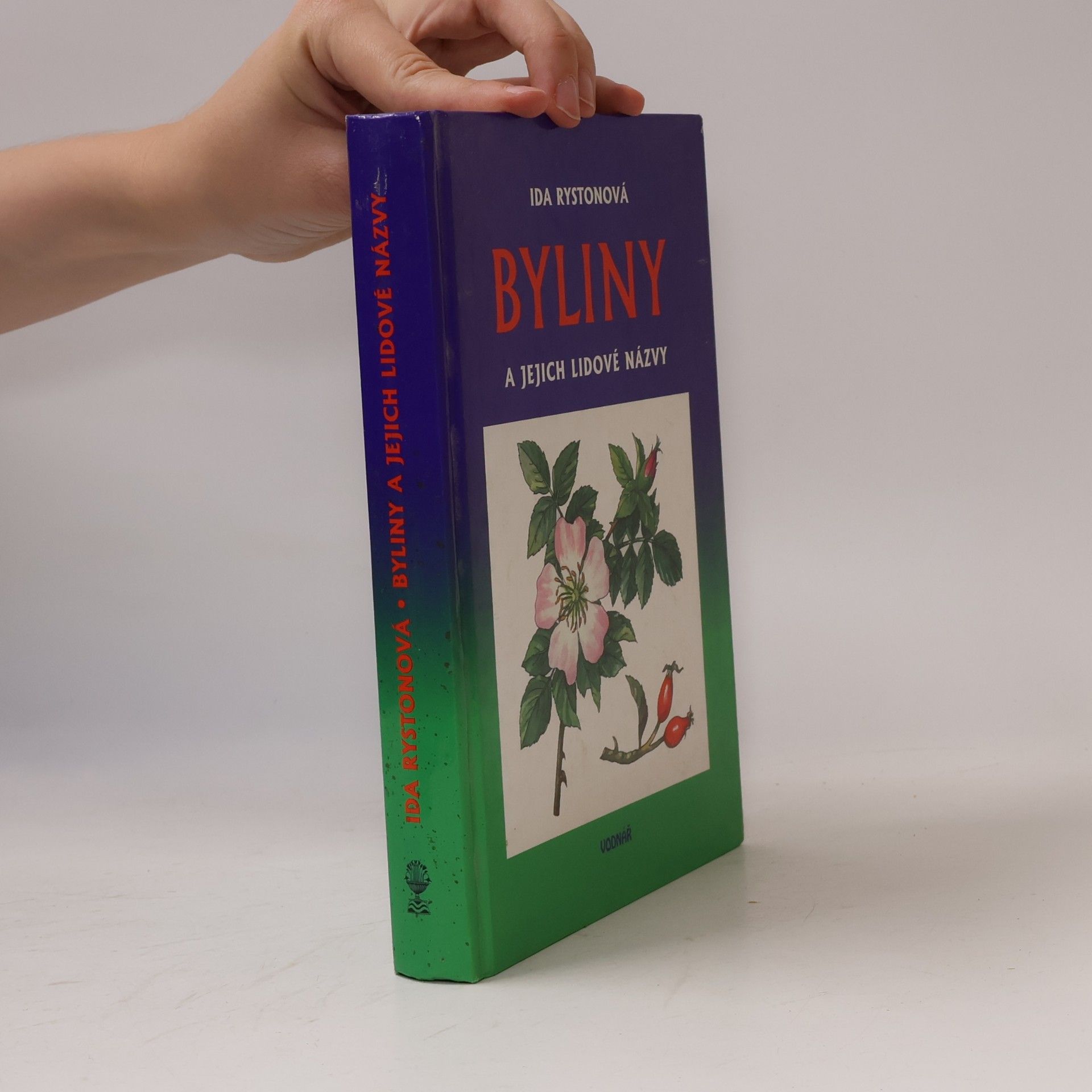 Byliny a jejich lidové názvy