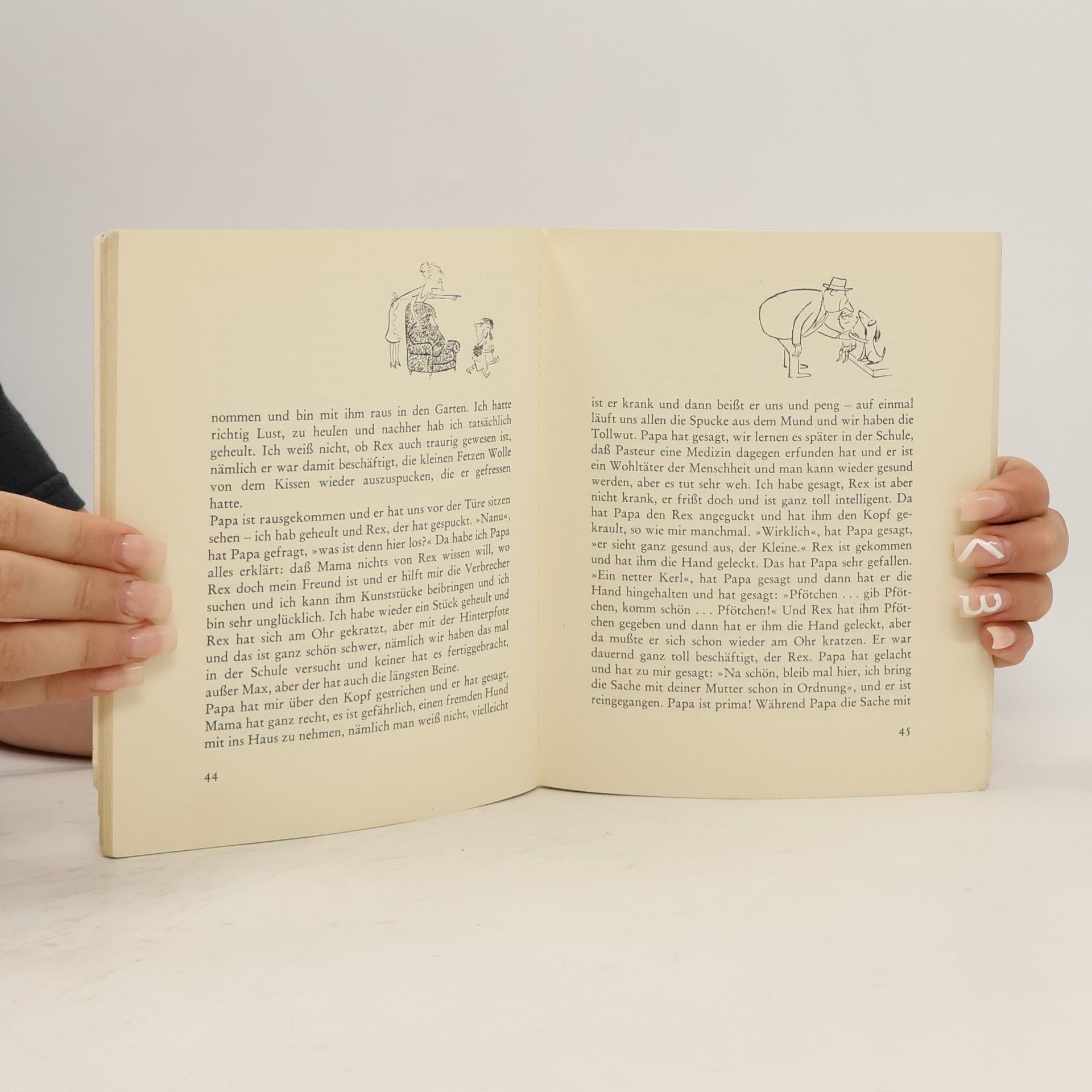René Goscinny Der kleine Nick