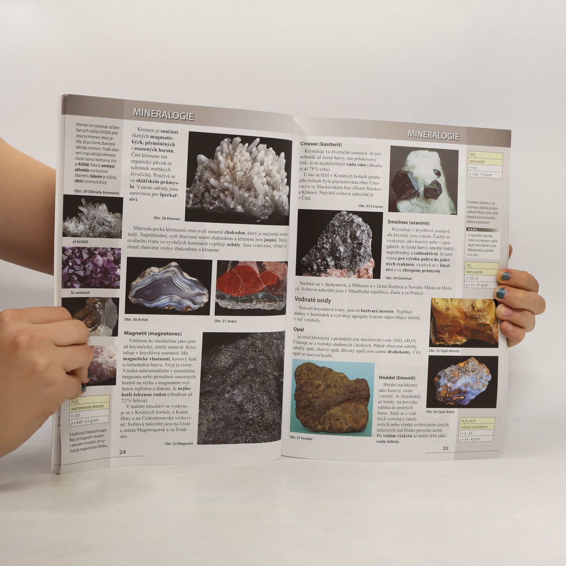 Vladimír Černík Přírodopis 9 – Geologie, Ekologie