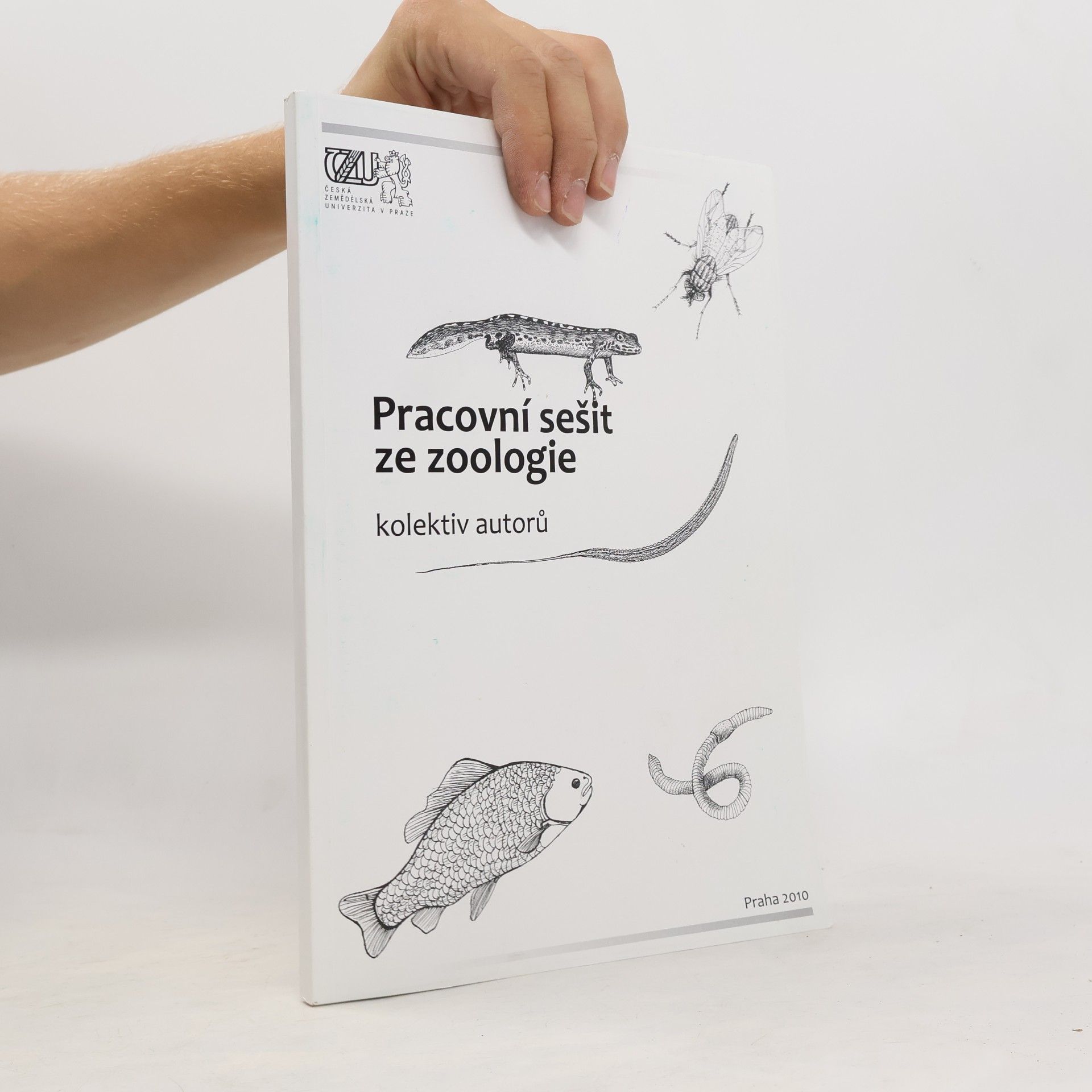 Autorenkollektiv Pracovní sešit ze zoologie