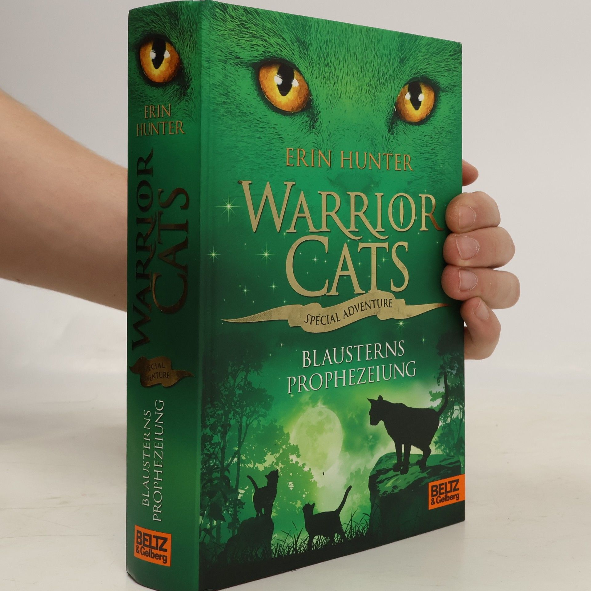 Erin Hunter Warrior cats. Special Adventure