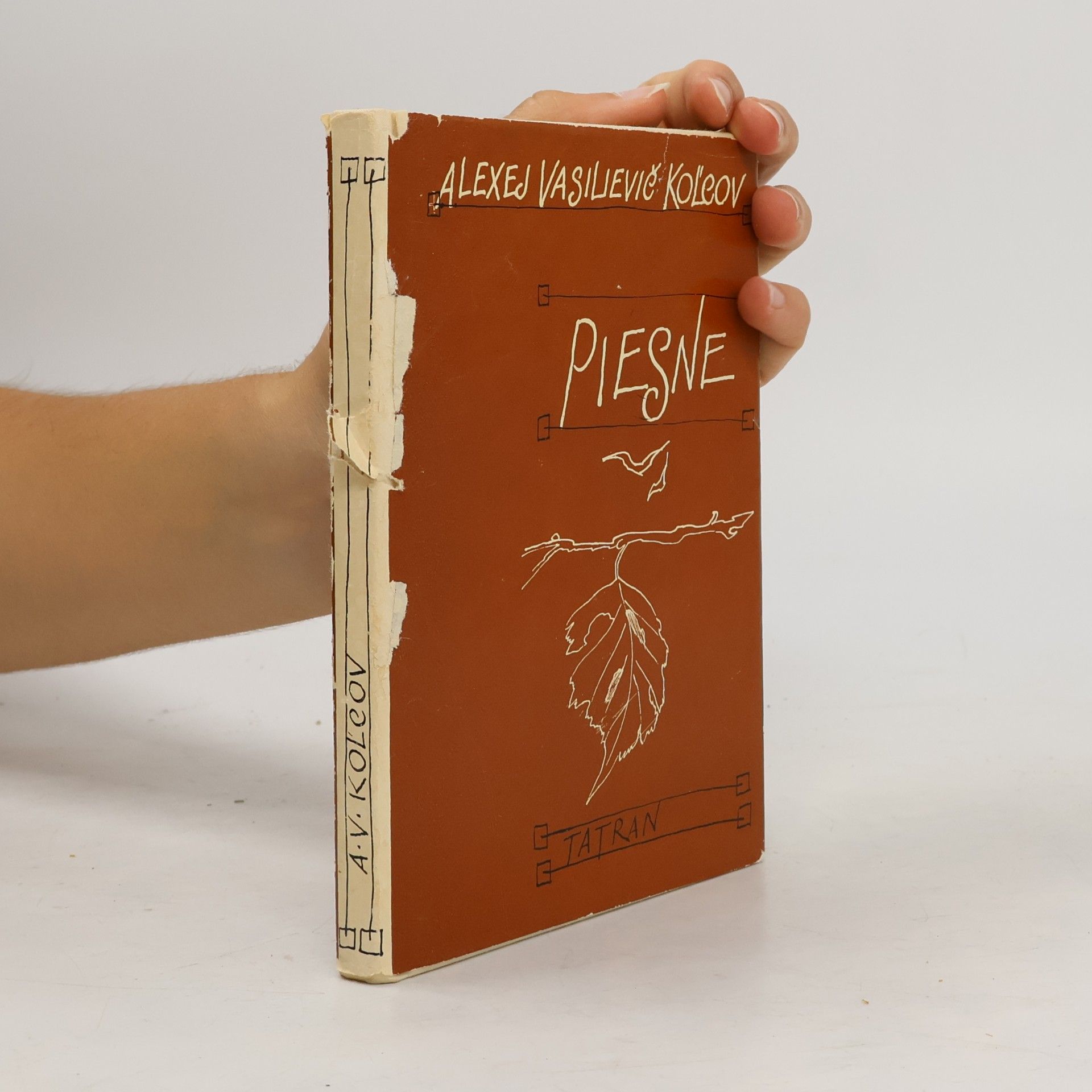 Alexej Vasilijevič Kolcov Piesne