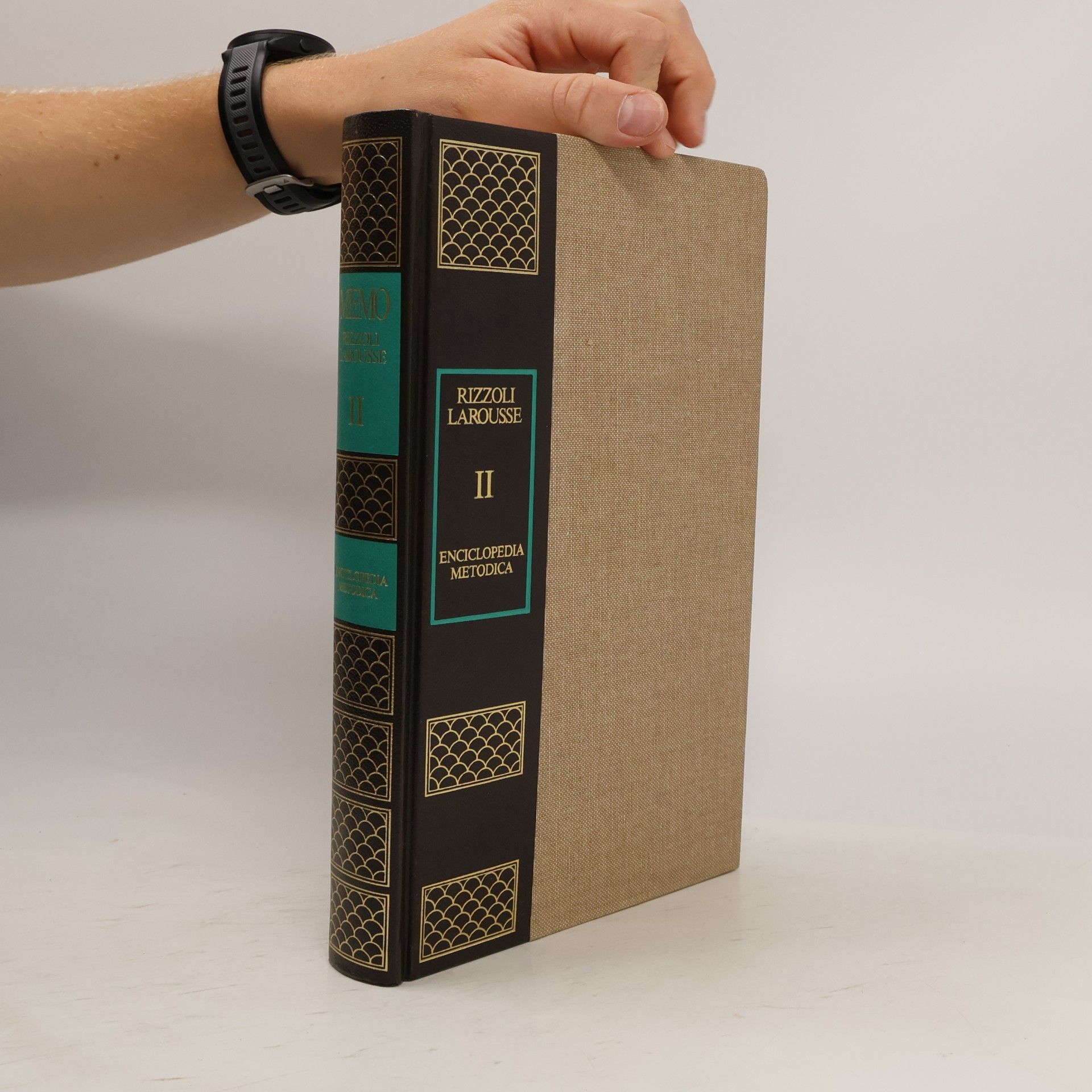 AA.VV. Rizzoli Larousse – Enciclopedia Metodica II