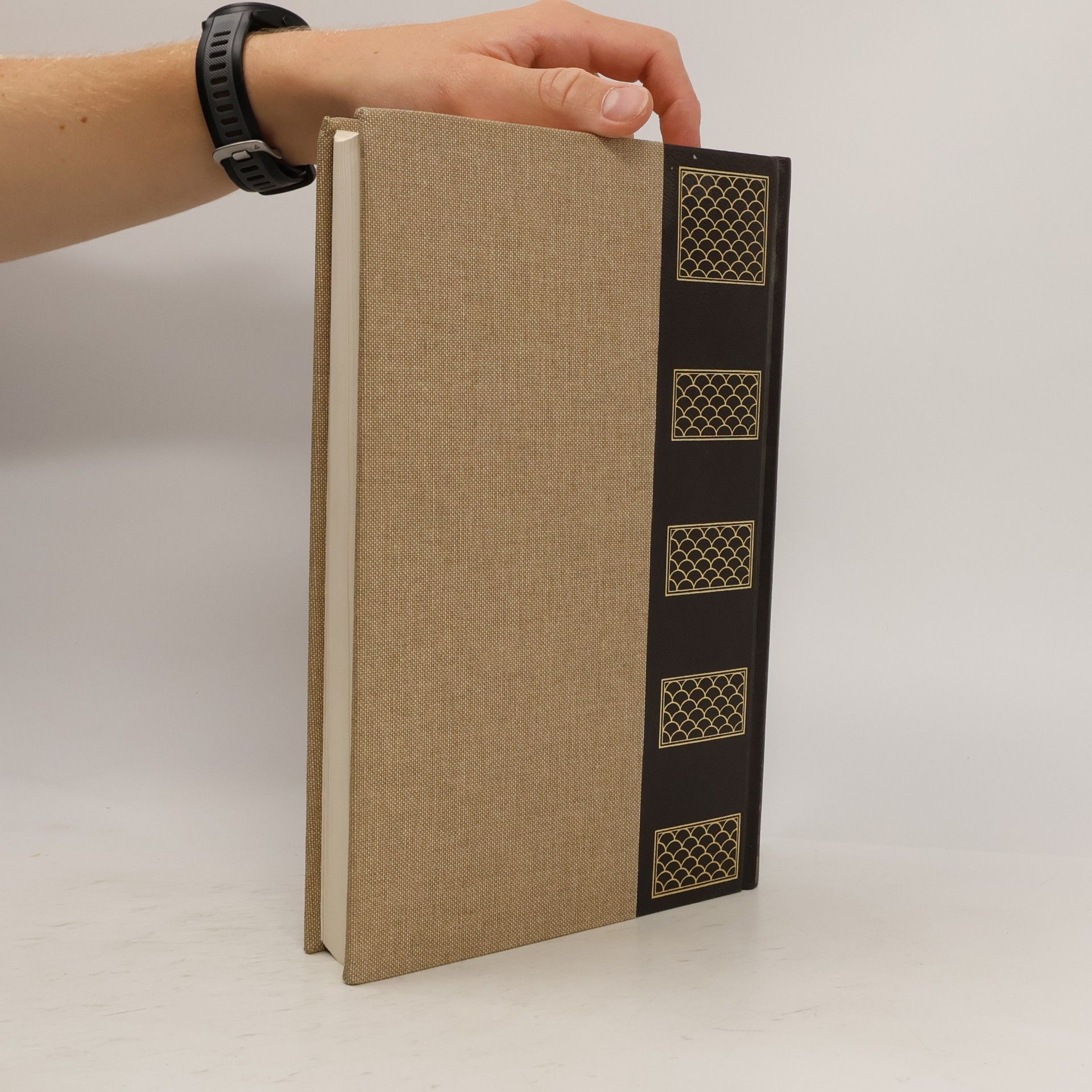 Kolektív autorov Rizzoli Larousse – Enciclopedia Metodica II
