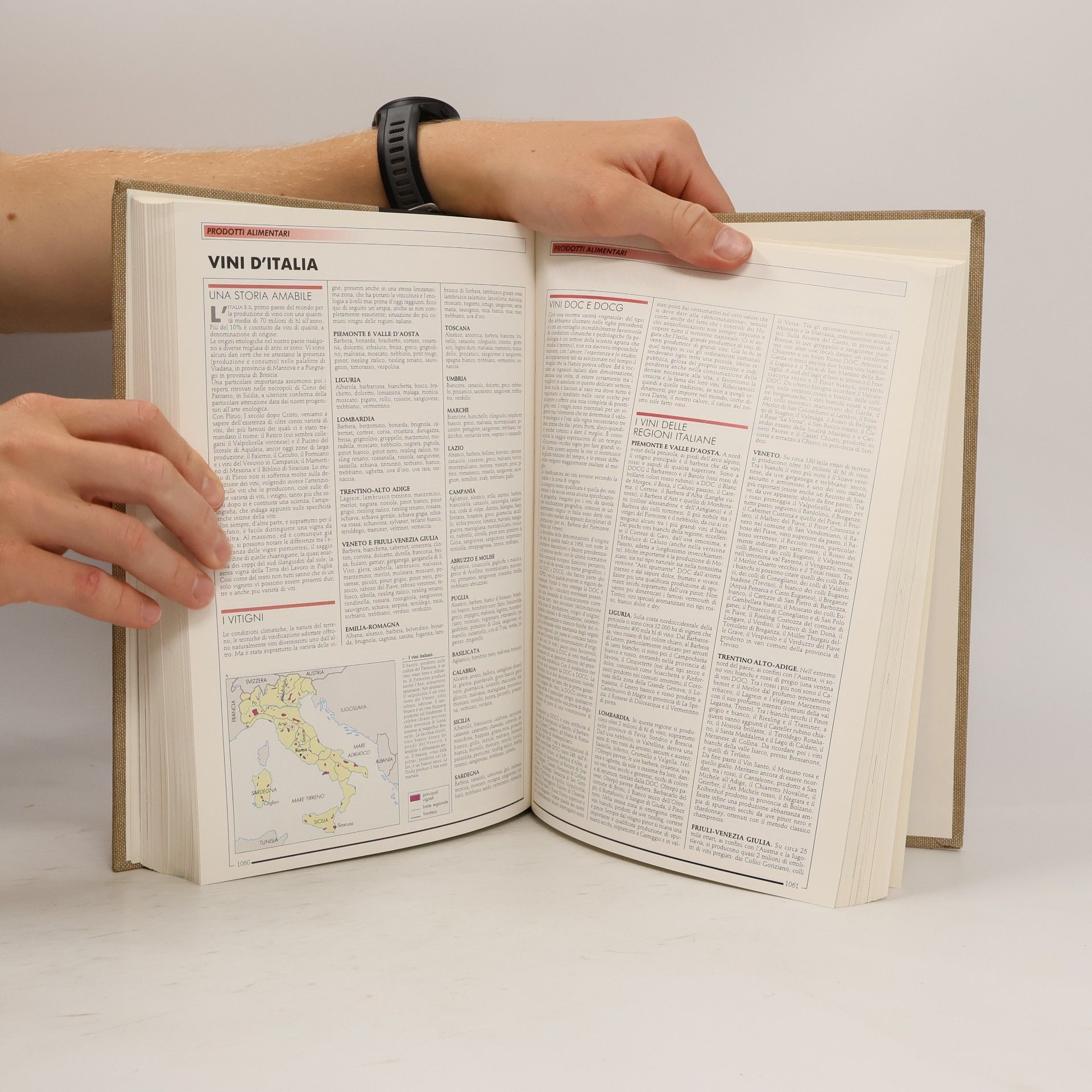 Kolektív autorov Rizzoli Larousse – Enciclopedia Metodica II